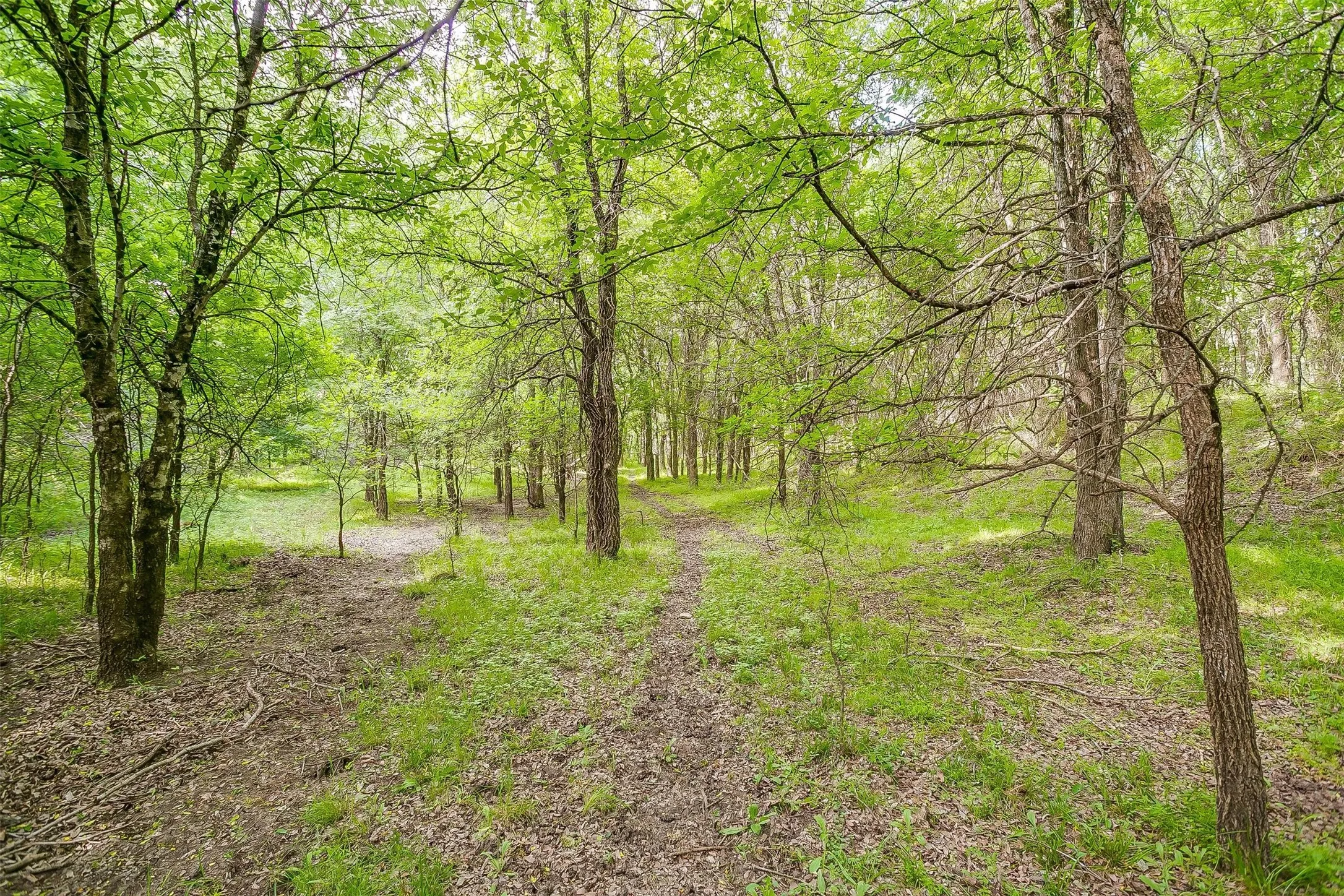 Business For Sale in Hill County , TBD TX-174, Blum, Texas 76627, 0, 0, Garage spaces, 180 Sqft, built in 0, Preowned, Price $179,000, mls#20908430, Real Estate Agent in Blum, Homes For Sale in Hill county, Homes For Sale in Blum, Realtor in Blum Texas, Real Estate Brokerage Independent Realty Texas, Luminita Cordes Realtor