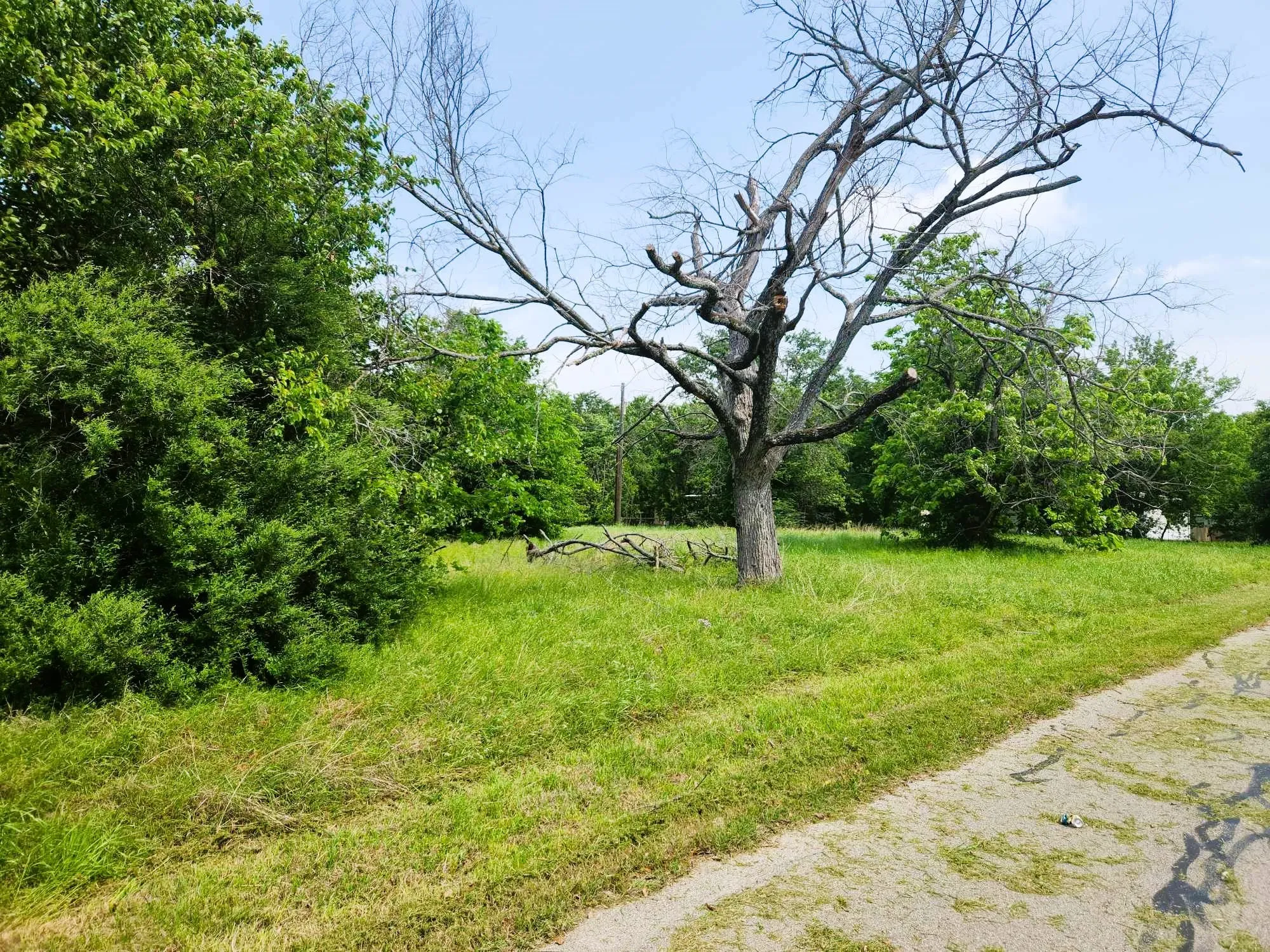 Unimproved Land For Sale in Henderson County , 142 Boshart Way, Gun Barrel City, Texas 75156, 0, 0, Garage spaces, 0 Sqft, built in 0, Price $37,500, mls#20908905, Real Estate Agent in Gun Barrel City, Homes For Sale in Henderson county, Homes For Sale in Gun Barrel City, Realtor in Gun Barrel City Texas, Real Estate Brokerage Independent Realty Texas, Luminita Cordes Realtor