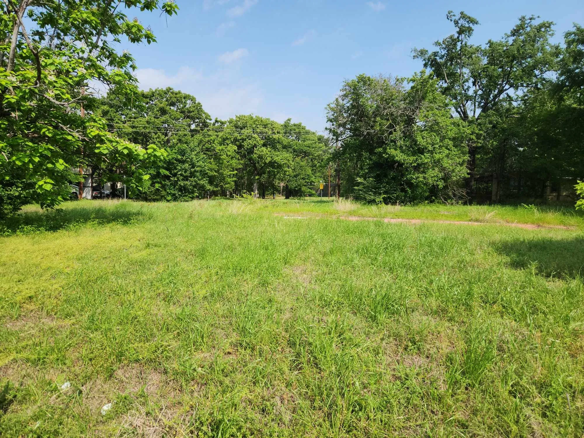 View of yard with a view of trees