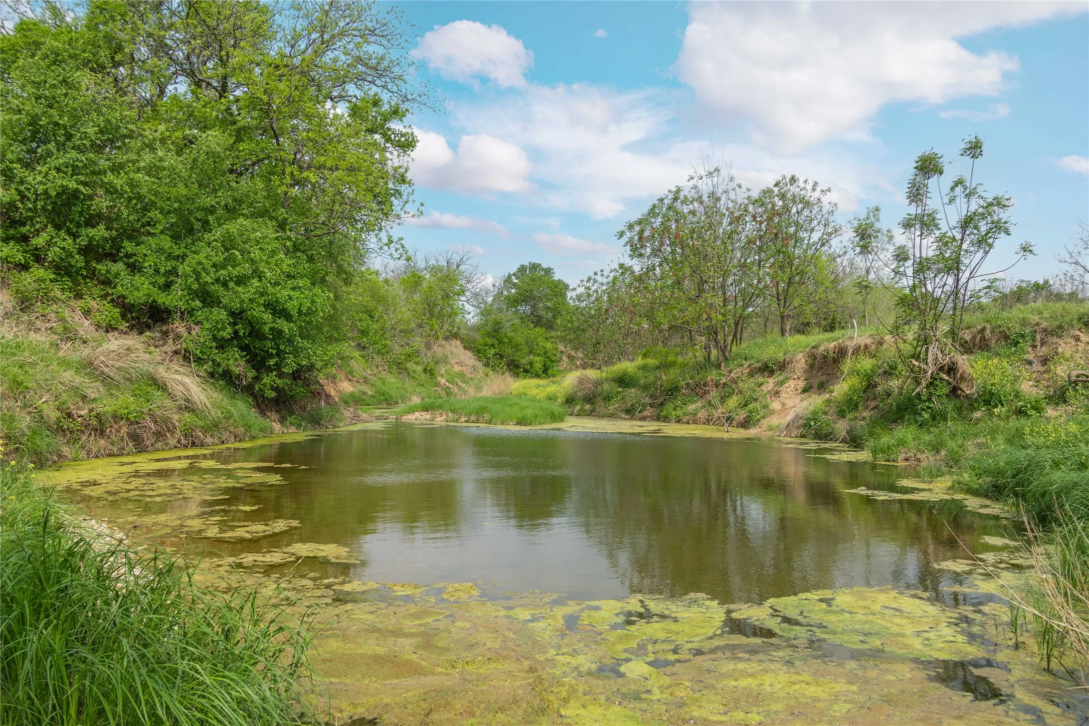 Improved Land For Sale in Brown County , 2030 FM 2525, Early, Texas 76802, 0, 0, Garage spaces, 0 Sqft, built in 0, mls#20909468, Real Estate Agent in Early, Homes For Sale in Brown county, Homes For Sale in Early, Realtor in Early Texas, Real Estate Brokerage Independent Realty Texas, Luminita Cordes Realtor