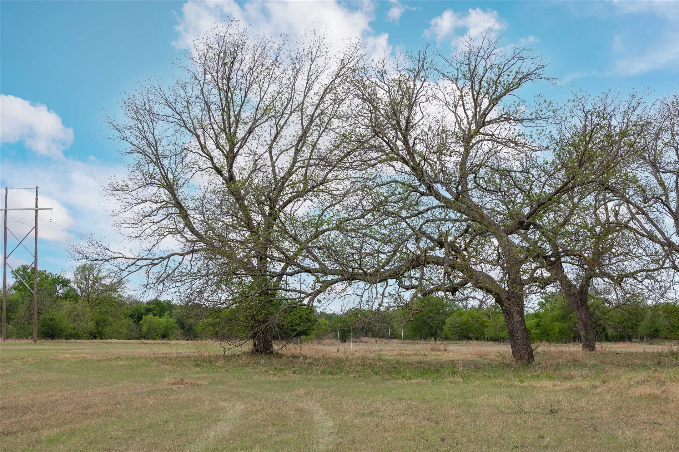 Improved Land For Sale in Brown County , 2030 FM 2525, Early, Texas 76802, 0, 0, Garage spaces, 0 Sqft, built in 0, mls#20909468, Real Estate Agent in Early, Homes For Sale in Brown county, Homes For Sale in Early, Realtor in Early Texas, Real Estate Brokerage Independent Realty Texas, Luminita Cordes Realtor