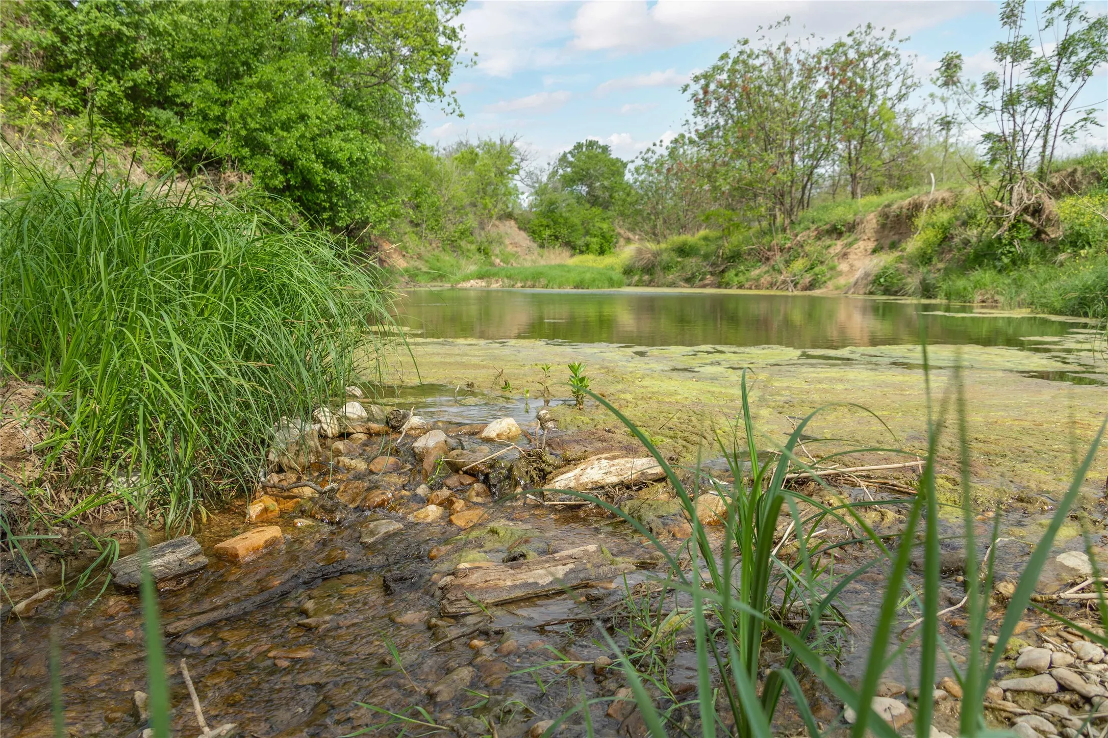 Improved Land For Sale in Brown County , 2030 FM 2525, Early, Texas 76802, 0, 0, Garage spaces, 0 Sqft, built in 0, mls#20909468, Real Estate Agent in Early, Homes For Sale in Brown county, Homes For Sale in Early, Realtor in Early Texas, Real Estate Brokerage Independent Realty Texas, Luminita Cordes Realtor