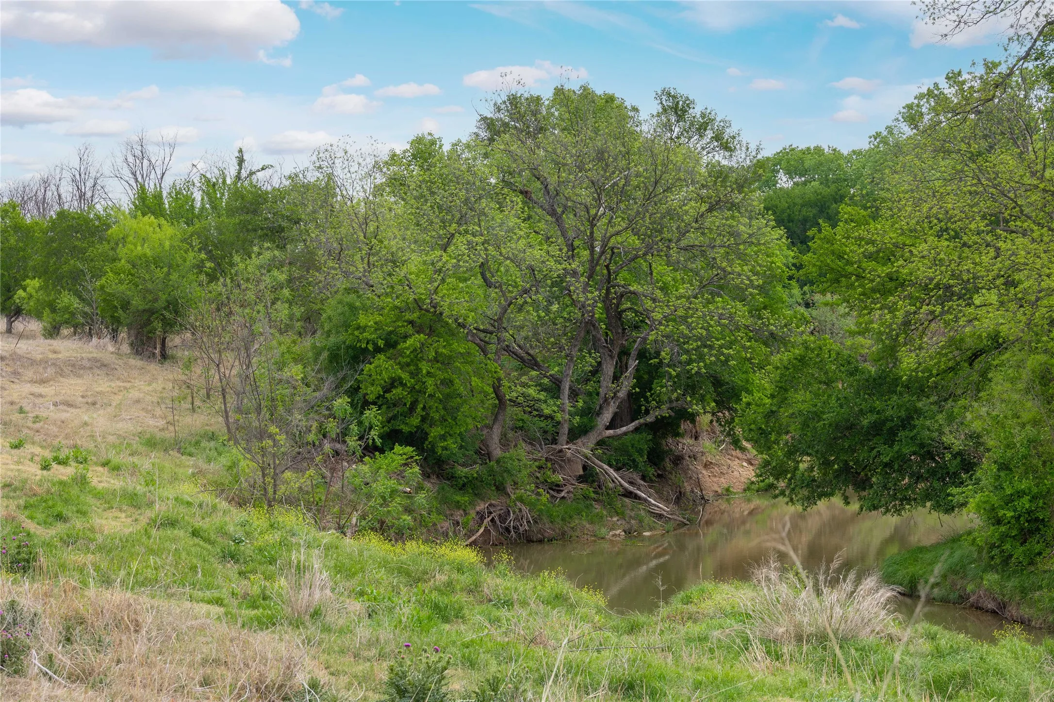 Improved Land For Sale in Brown County , 2030 FM 2525, Early, Texas 76802, 0, 0, Garage spaces, 0 Sqft, built in 0, mls#20909468, Real Estate Agent in Early, Homes For Sale in Brown county, Homes For Sale in Early, Realtor in Early Texas, Real Estate Brokerage Independent Realty Texas, Luminita Cordes Realtor