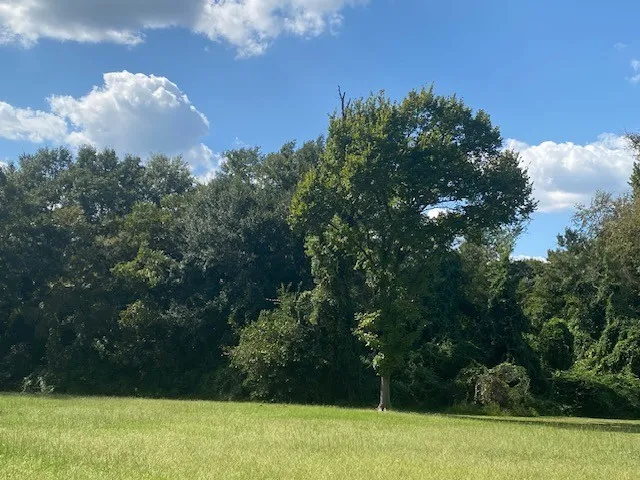Unimproved Land For Sale in Henderson County , TBD 3rd Street, Athens, Texas 75751, 0, 0, Garage spaces, 0 Sqft, built in 0, mls#20906511, Real Estate Agent in Athens, Homes For Sale in Henderson county, Homes For Sale in Athens, Realtor in Athens Texas, Real Estate Brokerage Independent Realty Texas, Luminita Cordes Realtor