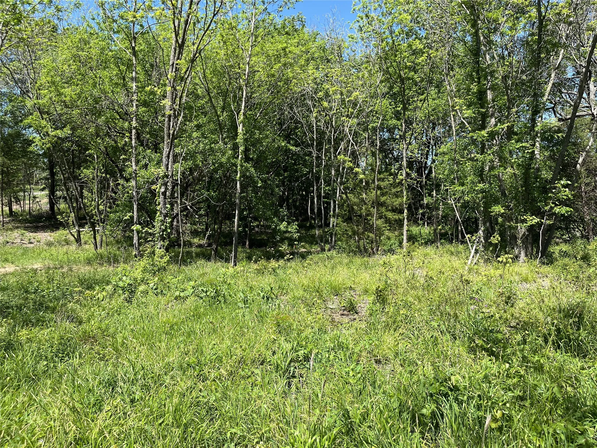 Improved Land For Sale in Fannin County , 345 Wildflower Way, Dodd City, Texas 75438, 0, 0, Garage spaces, 0 Sqft, built in 0, mls#20911322, Real Estate Agent in Dodd City, Homes For Sale in Fannin county, Homes For Sale in Dodd City, Realtor in Dodd City Texas, Real Estate Brokerage Independent Realty Texas, Luminita Cordes Realtor