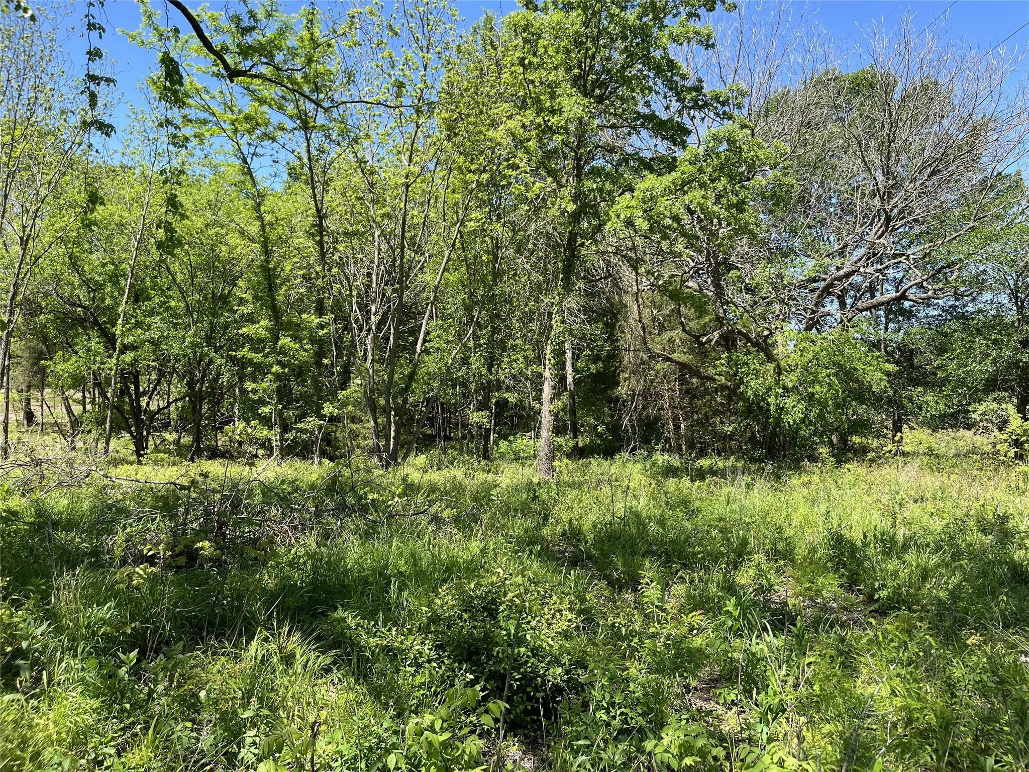 Improved Land For Sale in Fannin County , 345 Wildflower Way, Dodd City, Texas 75438, 0, 0, Garage spaces, 0 Sqft, built in 0, mls#20911322, Real Estate Agent in Dodd City, Homes For Sale in Fannin county, Homes For Sale in Dodd City, Realtor in Dodd City Texas, Real Estate Brokerage Independent Realty Texas, Luminita Cordes Realtor