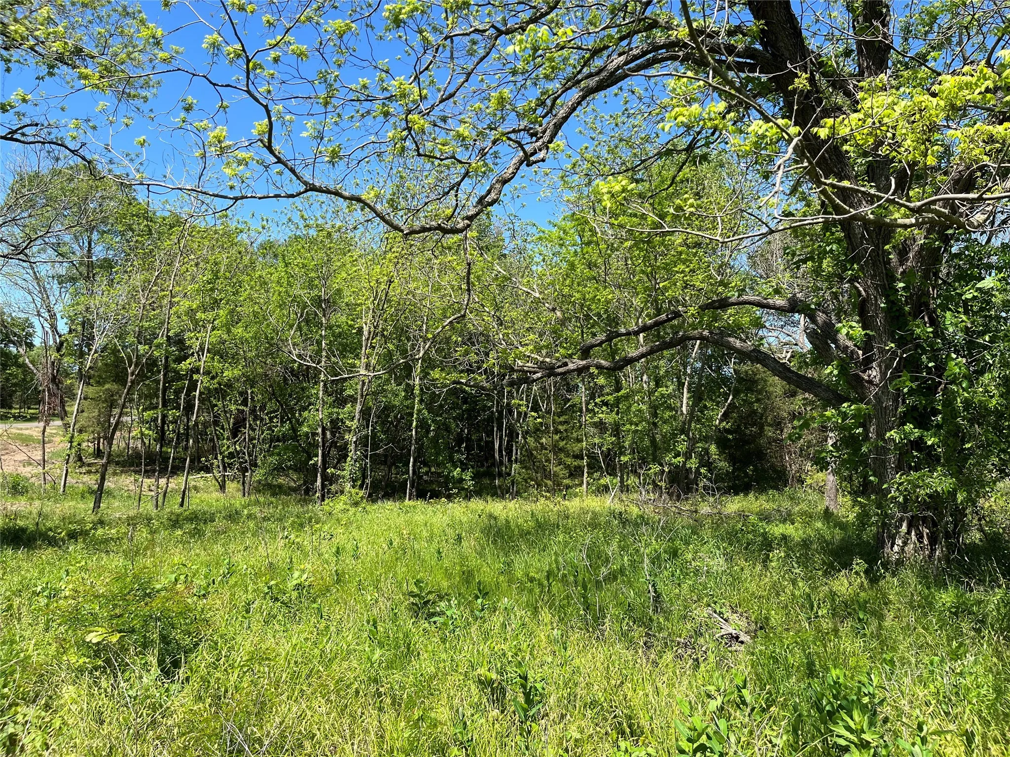 Improved Land For Sale in Fannin County , 345 Wildflower Way, Dodd City, Texas 75438, 0, 0, Garage spaces, 0 Sqft, built in 0, mls#20911322, Real Estate Agent in Dodd City, Homes For Sale in Fannin county, Homes For Sale in Dodd City, Realtor in Dodd City Texas, Real Estate Brokerage Independent Realty Texas, Luminita Cordes Realtor