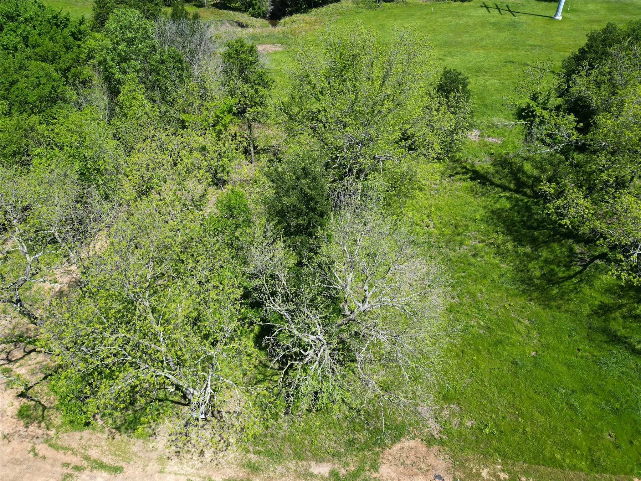 Improved Land For Sale in Fannin County , 345 Wildflower Way, Dodd City, Texas 75438, 0, 0, Garage spaces, 0 Sqft, built in 0, mls#20911322, Real Estate Agent in Dodd City, Homes For Sale in Fannin county, Homes For Sale in Dodd City, Realtor in Dodd City Texas, Real Estate Brokerage Independent Realty Texas, Luminita Cordes Realtor