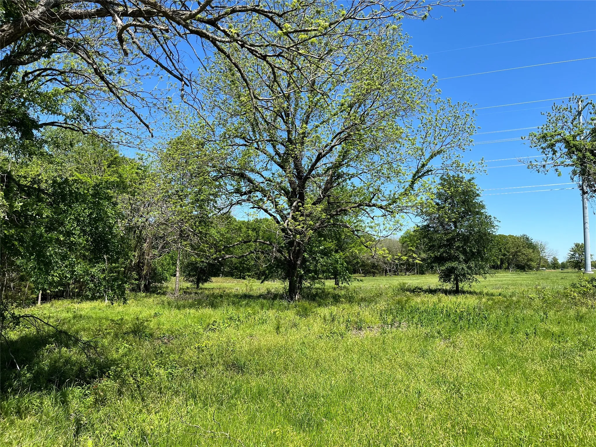 Improved Land For Sale in Fannin County , 345 Wildflower Way, Dodd City, Texas 75438, 0, 0, Garage spaces, 0 Sqft, built in 0, mls#20911322, Real Estate Agent in Dodd City, Homes For Sale in Fannin county, Homes For Sale in Dodd City, Realtor in Dodd City Texas, Real Estate Brokerage Independent Realty Texas, Luminita Cordes Realtor