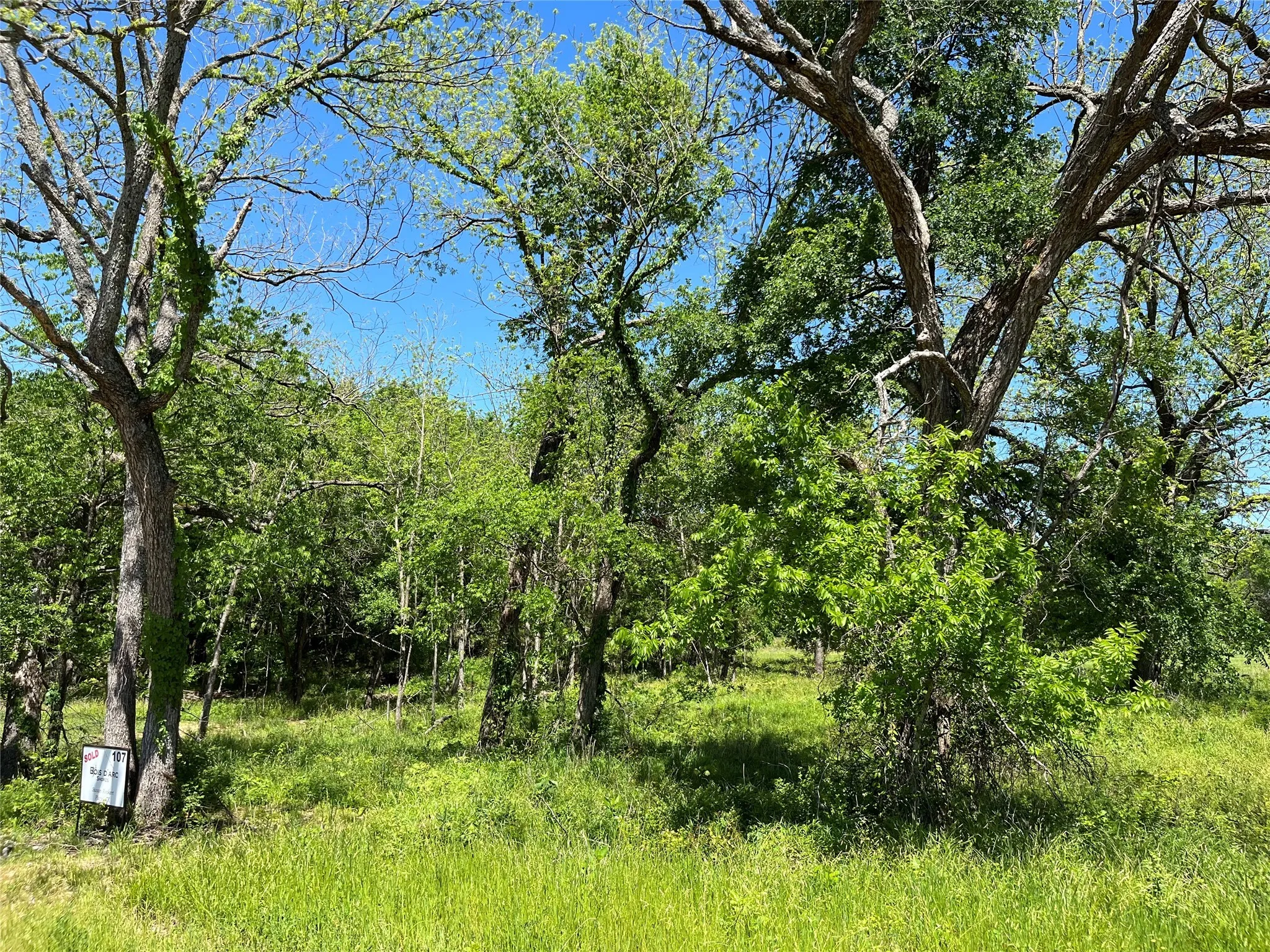 Improved Land For Sale in Fannin County , 345 Wildflower Way, Dodd City, Texas 75438, 0, 0, Garage spaces, 0 Sqft, built in 0, mls#20911322, Real Estate Agent in Dodd City, Homes For Sale in Fannin county, Homes For Sale in Dodd City, Realtor in Dodd City Texas, Real Estate Brokerage Independent Realty Texas, Luminita Cordes Realtor
