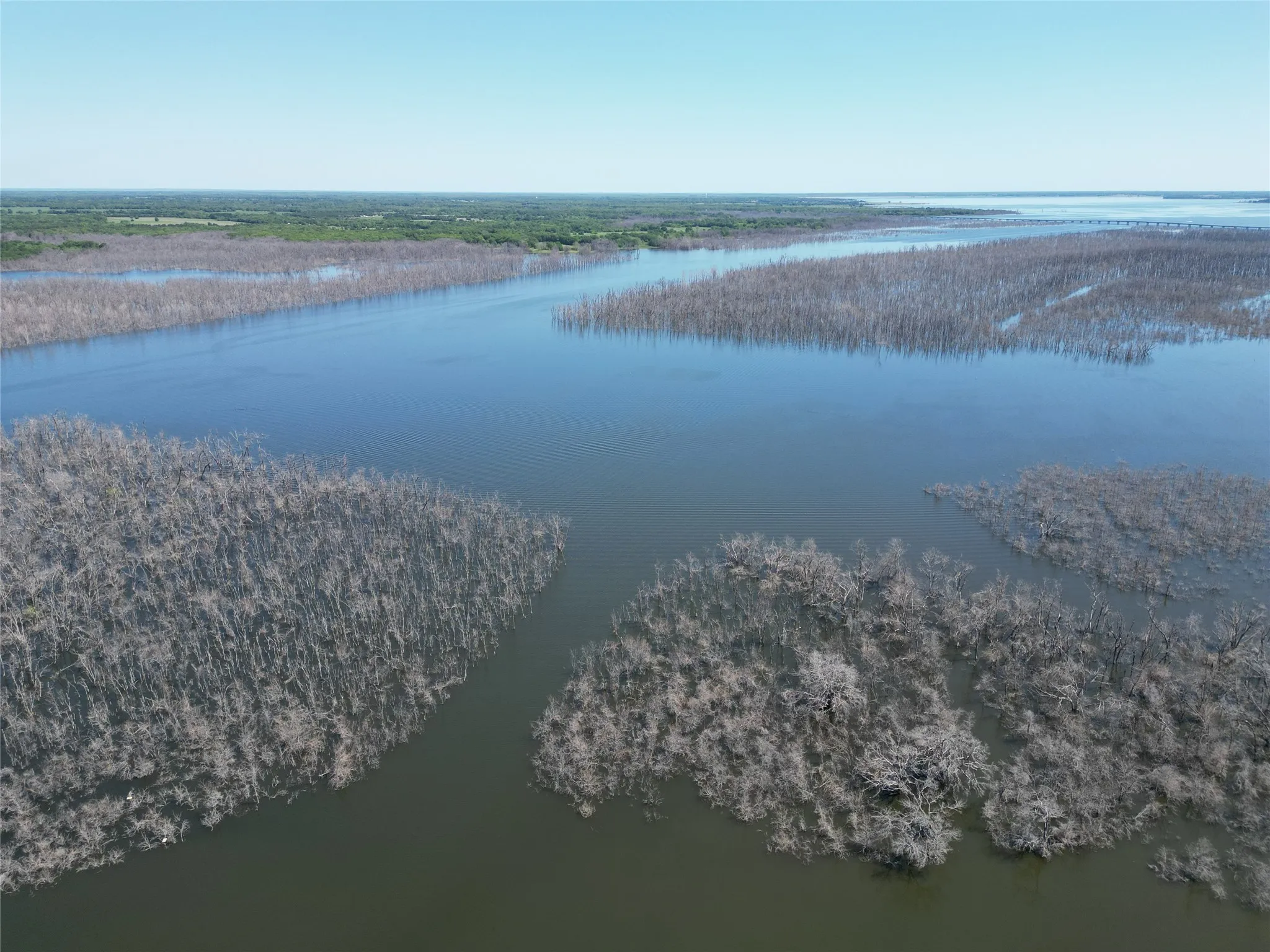 Improved Land For Sale in Fannin County , 345 Wildflower Way, Dodd City, Texas 75438, 0, 0, Garage spaces, 0 Sqft, built in 0, mls#20911322, Real Estate Agent in Dodd City, Homes For Sale in Fannin county, Homes For Sale in Dodd City, Realtor in Dodd City Texas, Real Estate Brokerage Independent Realty Texas, Luminita Cordes Realtor
