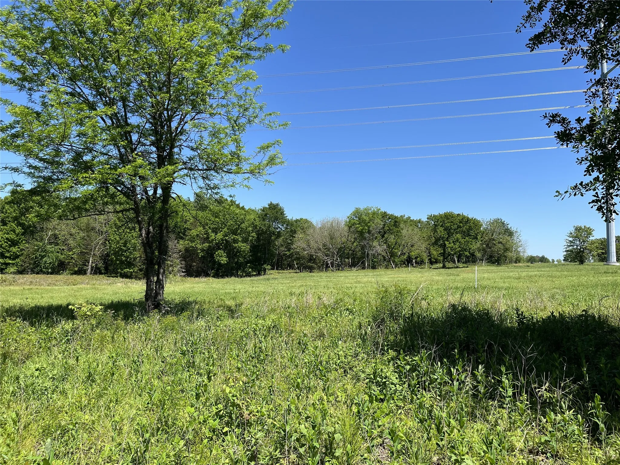 Improved Land For Sale in Fannin County , 345 Wildflower Way, Dodd City, Texas 75438, 0, 0, Garage spaces, 0 Sqft, built in 0, mls#20911322, Real Estate Agent in Dodd City, Homes For Sale in Fannin county, Homes For Sale in Dodd City, Realtor in Dodd City Texas, Real Estate Brokerage Independent Realty Texas, Luminita Cordes Realtor
