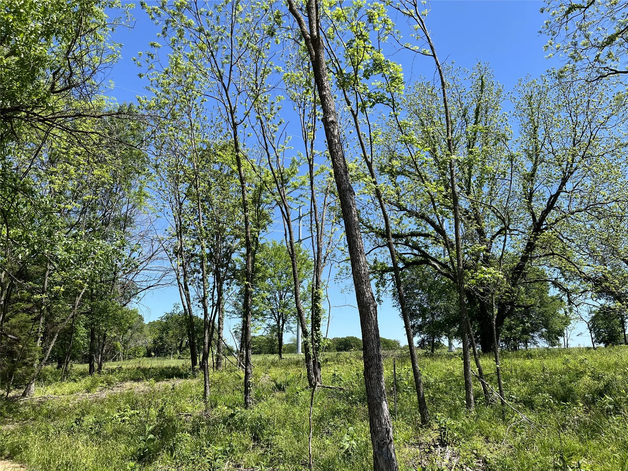 Improved Land For Sale in Fannin County , 345 Wildflower Way, Dodd City, Texas 75438, 0, 0, Garage spaces, 0 Sqft, built in 0, mls#20911322, Real Estate Agent in Dodd City, Homes For Sale in Fannin county, Homes For Sale in Dodd City, Realtor in Dodd City Texas, Real Estate Brokerage Independent Realty Texas, Luminita Cordes Realtor