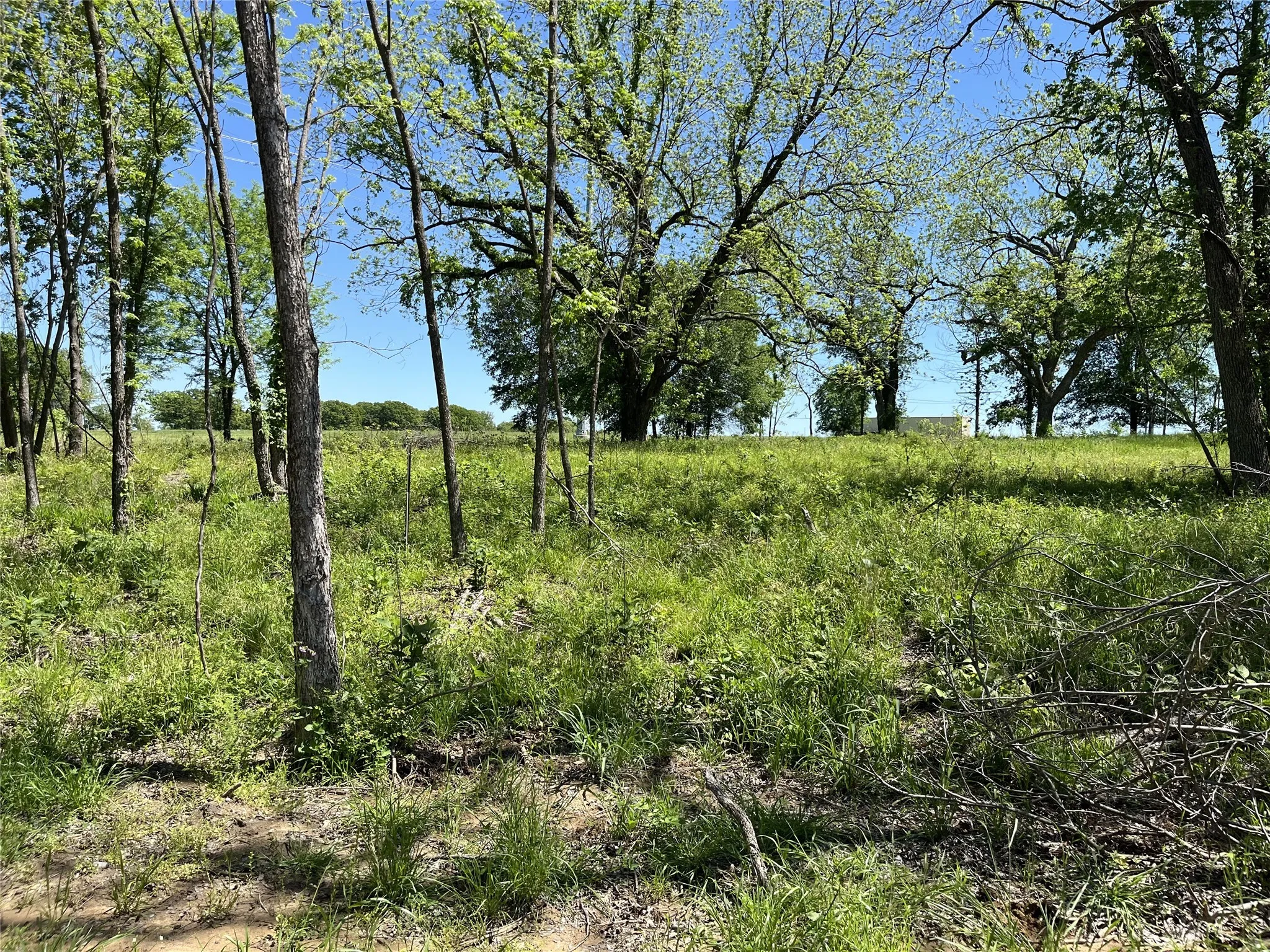 Improved Land For Sale in Fannin County , 345 Wildflower Way, Dodd City, Texas 75438, 0, 0, Garage spaces, 0 Sqft, built in 0, mls#20911322, Real Estate Agent in Dodd City, Homes For Sale in Fannin county, Homes For Sale in Dodd City, Realtor in Dodd City Texas, Real Estate Brokerage Independent Realty Texas, Luminita Cordes Realtor
