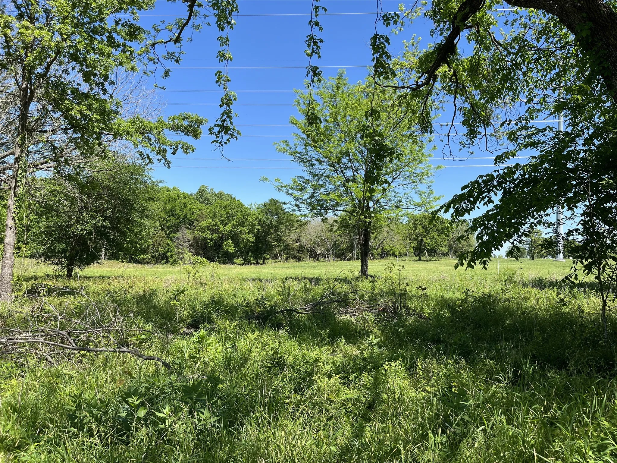 Improved Land For Sale in Fannin County , 345 Wildflower Way, Dodd City, Texas 75438, 0, 0, Garage spaces, 0 Sqft, built in 0, mls#20911322, Real Estate Agent in Dodd City, Homes For Sale in Fannin county, Homes For Sale in Dodd City, Realtor in Dodd City Texas, Real Estate Brokerage Independent Realty Texas, Luminita Cordes Realtor