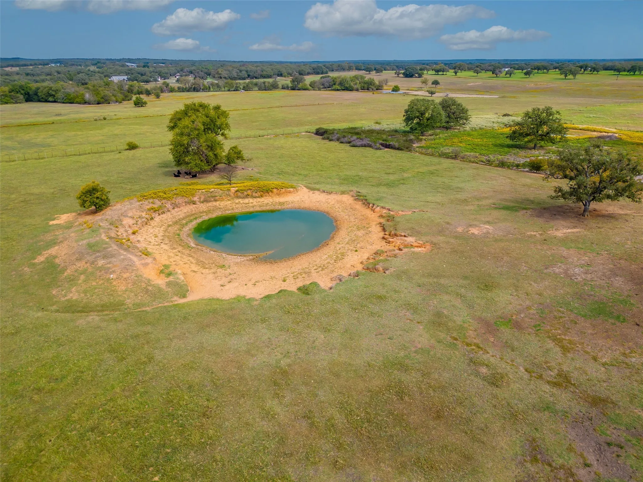 PASTURE AND POND