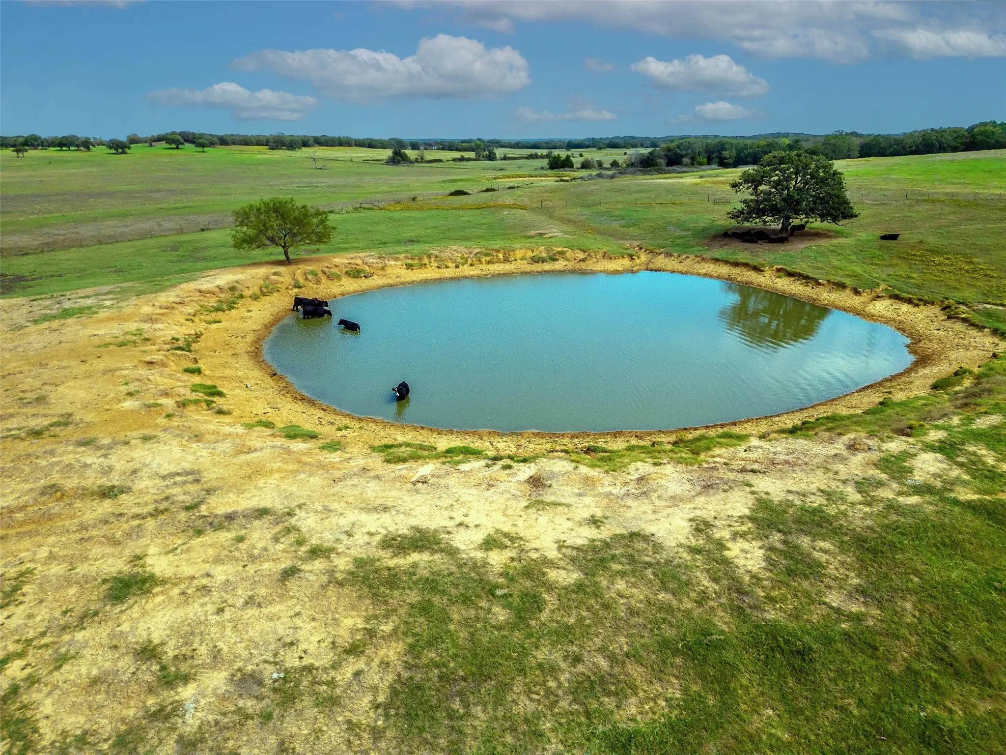 PASTURE AND POND