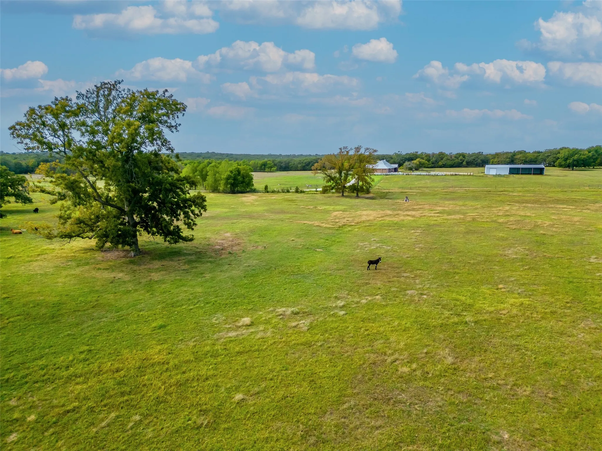 PASTURE
