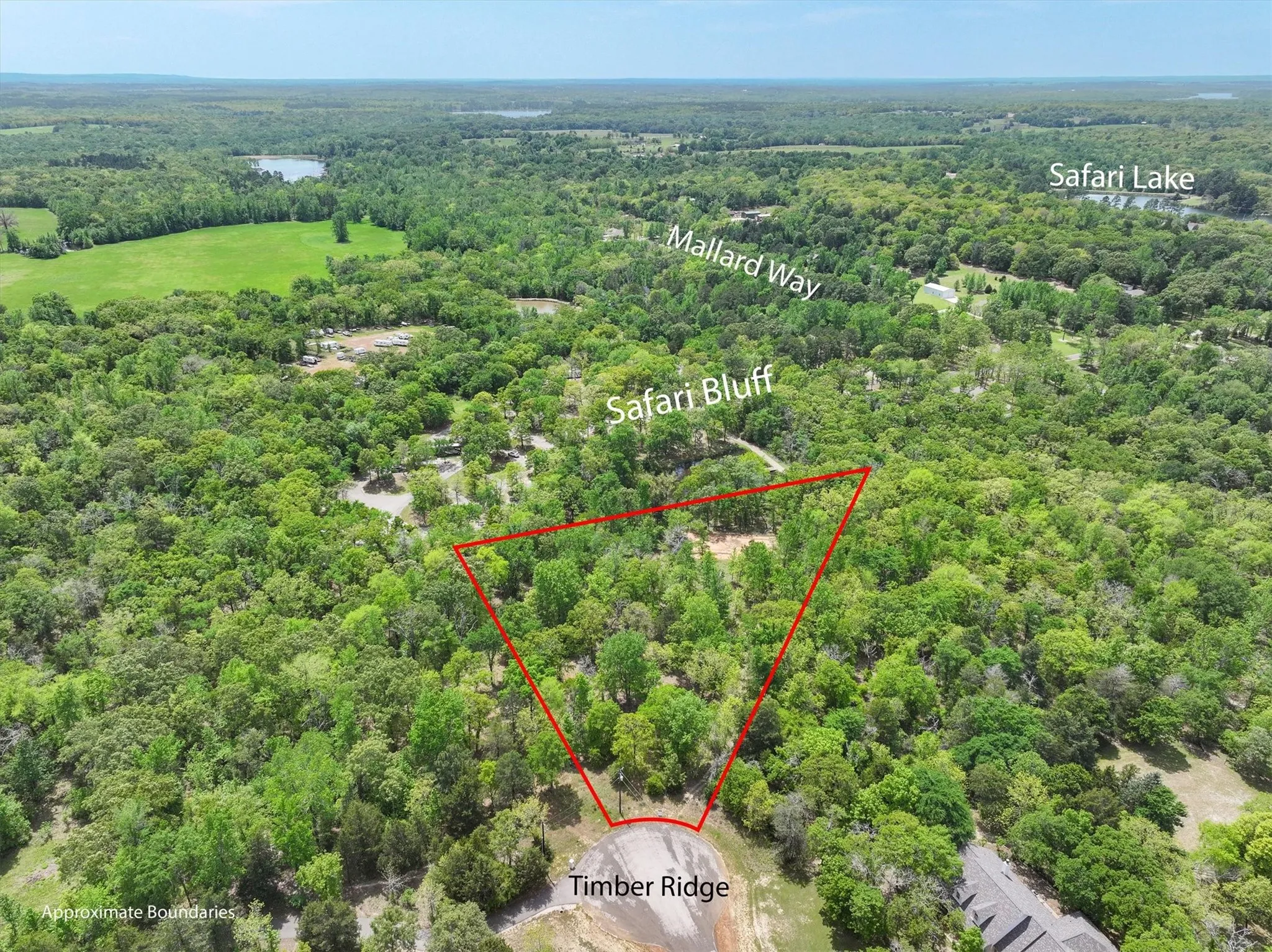 Unimproved Land For Sale in Henderson County , 8950 Timber Ridge, Larue, Texas 75770, 0, 0, Garage spaces, 0 Sqft, built in 0, Price $140,000, mls#20913288, Real Estate Agent in Larue, Homes For Sale in Henderson county, Homes For Sale in Larue, Realtor in Larue Texas, Real Estate Brokerage Independent Realty Texas, Luminita Cordes Realtor