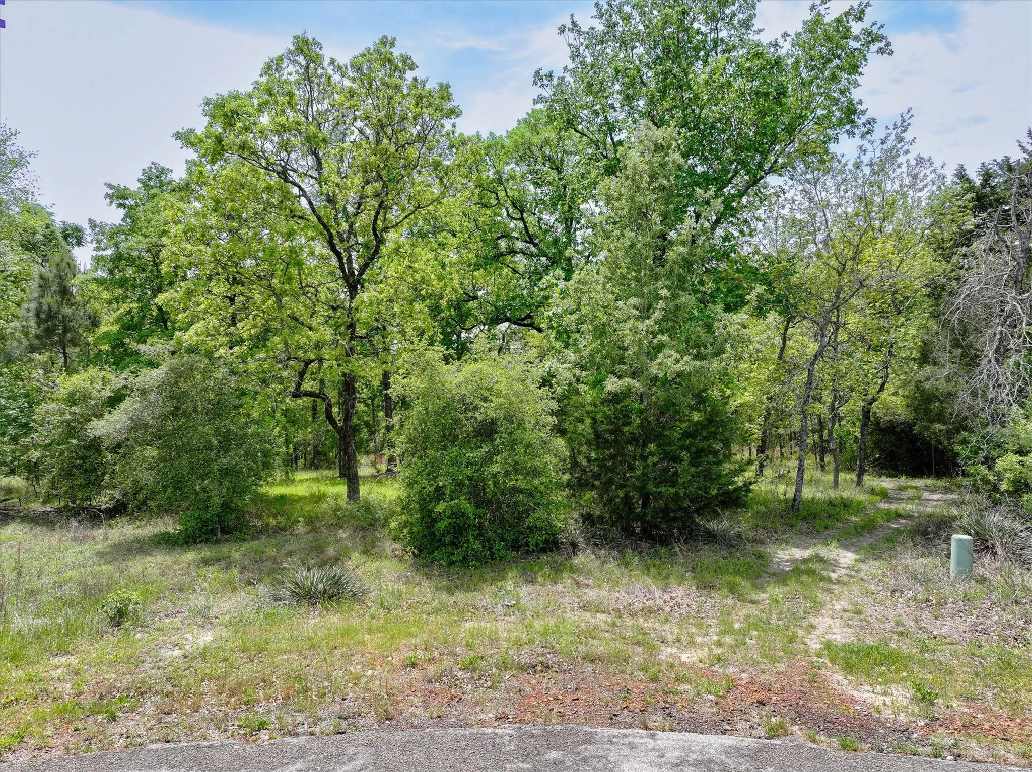 Unimproved Land For Sale in Henderson County , 8950 Timber Ridge, Larue, Texas 75770, 0, 0, Garage spaces, 0 Sqft, built in 0, Price $140,000, mls#20913288, Real Estate Agent in Larue, Homes For Sale in Henderson county, Homes For Sale in Larue, Realtor in Larue Texas, Real Estate Brokerage Independent Realty Texas, Luminita Cordes Realtor