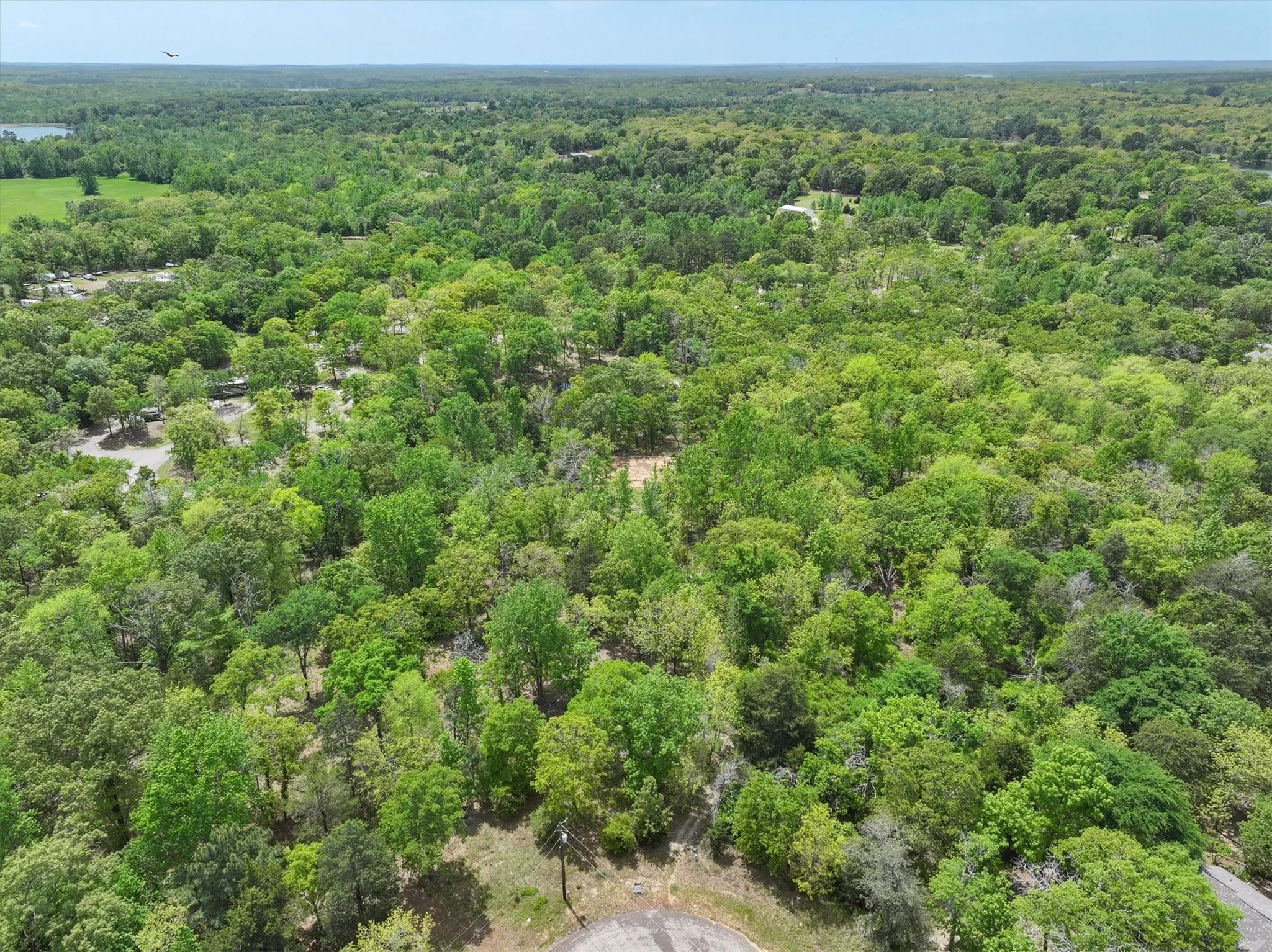 Unimproved Land For Sale in Henderson County , 8950 Timber Ridge, Larue, Texas 75770, 0, 0, Garage spaces, 0 Sqft, built in 0, Price $140,000, mls#20913288, Real Estate Agent in Larue, Homes For Sale in Henderson county, Homes For Sale in Larue, Realtor in Larue Texas, Real Estate Brokerage Independent Realty Texas, Luminita Cordes Realtor