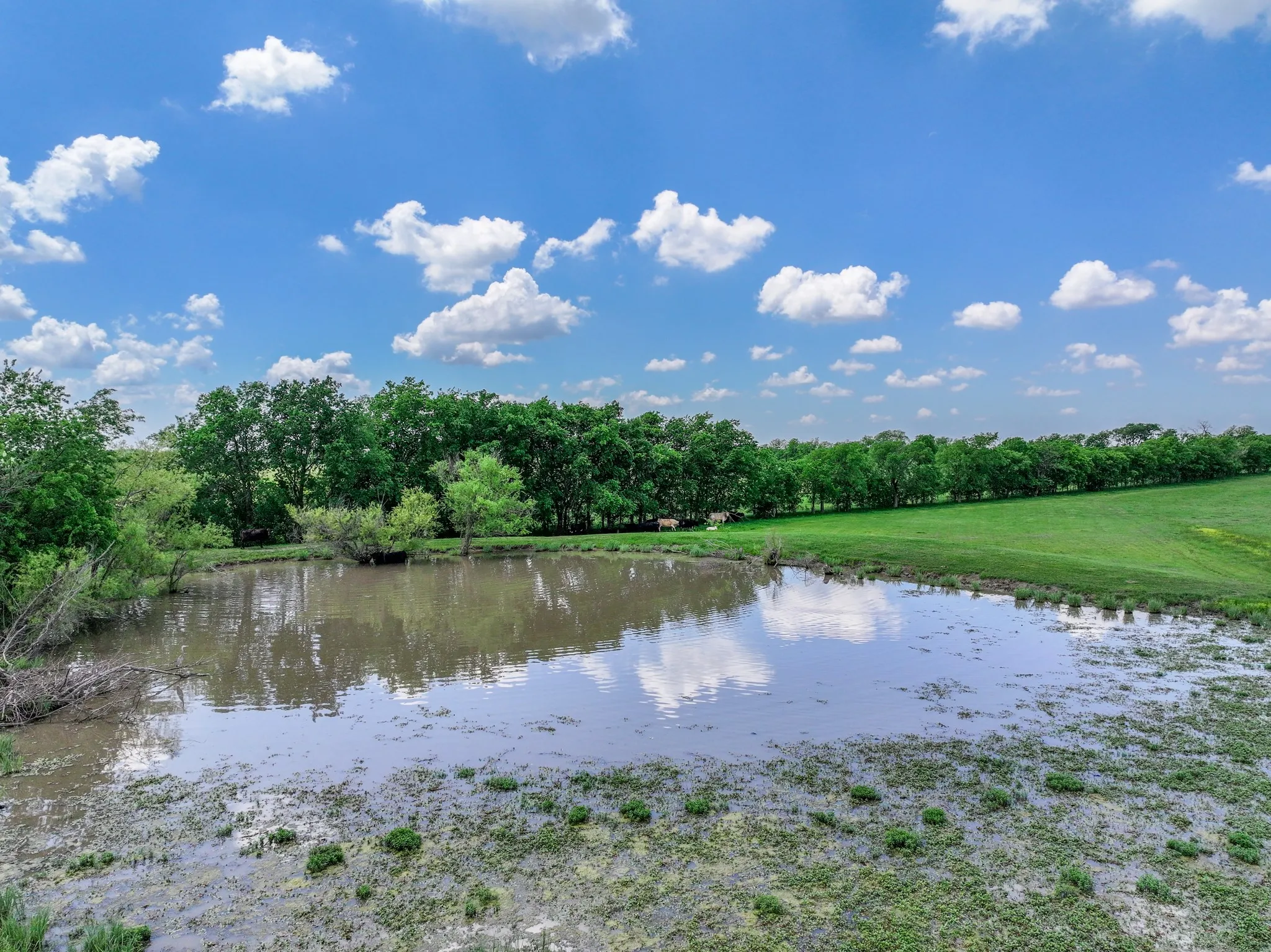 Ranch For Sale in Hunt County , 5293 County Road 2515, Royse City, Texas 75189, 0, 0, Garage spaces, 0 Sqft, built in 1988, Price $2,100,000, mls#20914792, Real Estate Agent in Royse City, Homes For Sale in Hunt county, Homes For Sale in Royse City, Realtor in Royse City Texas, Real Estate Brokerage Independent Realty Texas, Luminita Cordes Realtor