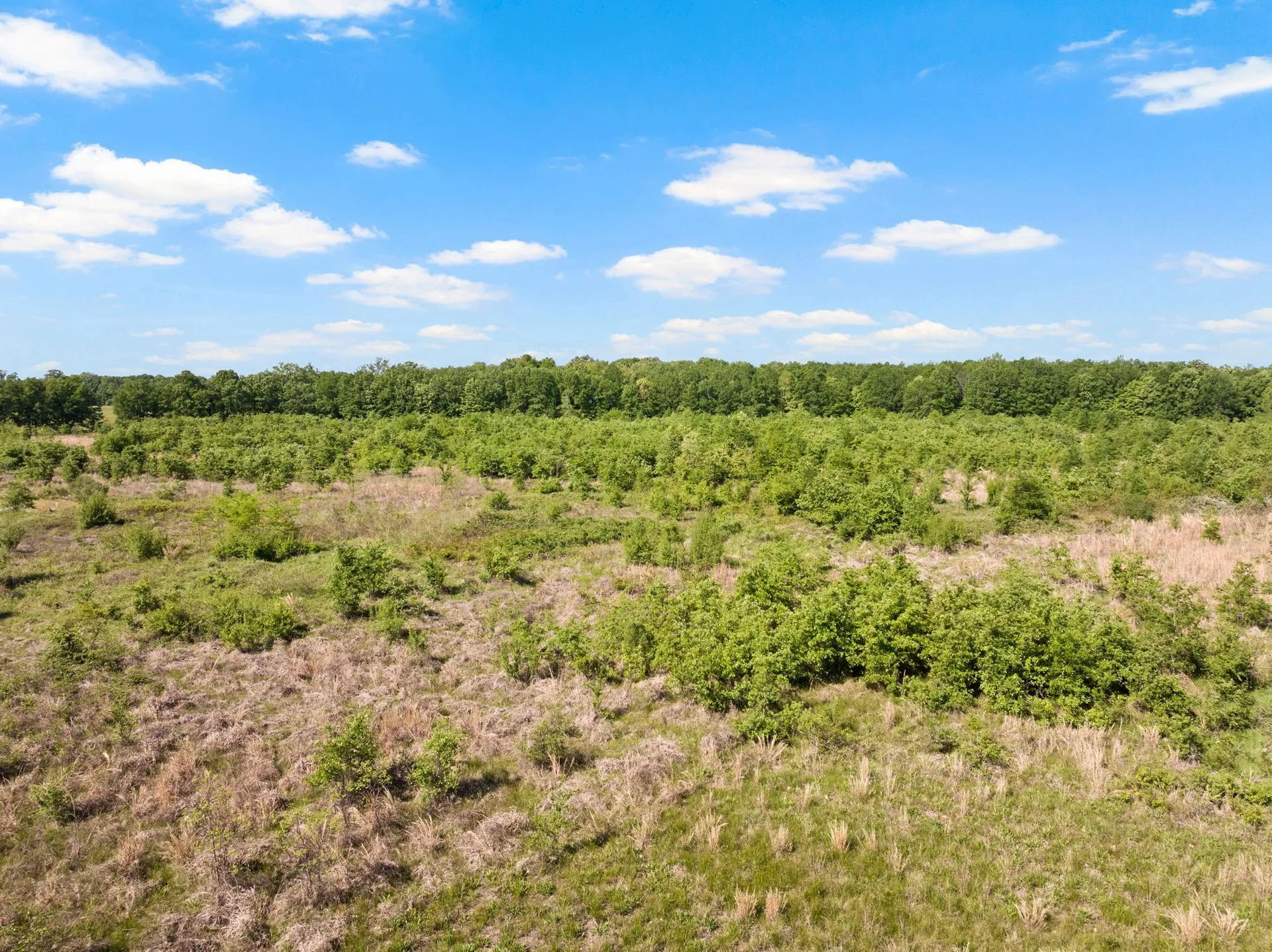 Farm For Sale in Franklin (TX) County , 2363 NW County Road 1050, Talco, Texas 75487, 0, 4 Bathroom, Garage spaces, 10,000 Sqft, built in 2022, mls#20914232, Real Estate Agent in Talco, Homes For Sale in Franklin (TX) county, Homes For Sale in Talco, Realtor in Talco Texas, Real Estate Brokerage Independent Realty Texas, Luminita Cordes Realtor