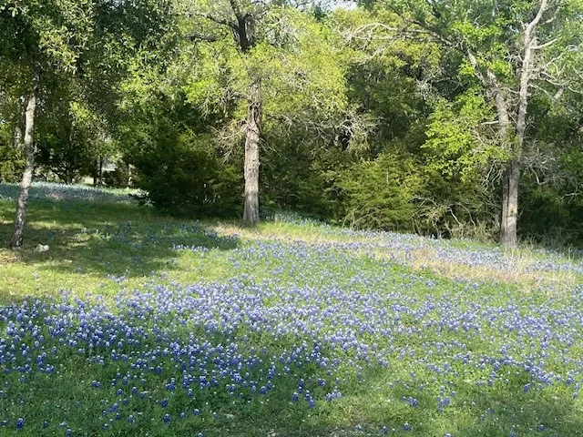 Unimproved Land For Sale in Hill County , 1096 Lakeside Trail, Whitney, Texas 76692, 0, 0, Garage spaces, 0 Sqft, built in 0, mls#20915233, Real Estate Agent in Whitney, Homes For Sale in Hill county, Homes For Sale in Whitney, Realtor in Whitney Texas, Real Estate Brokerage Independent Realty Texas, Luminita Cordes Realtor