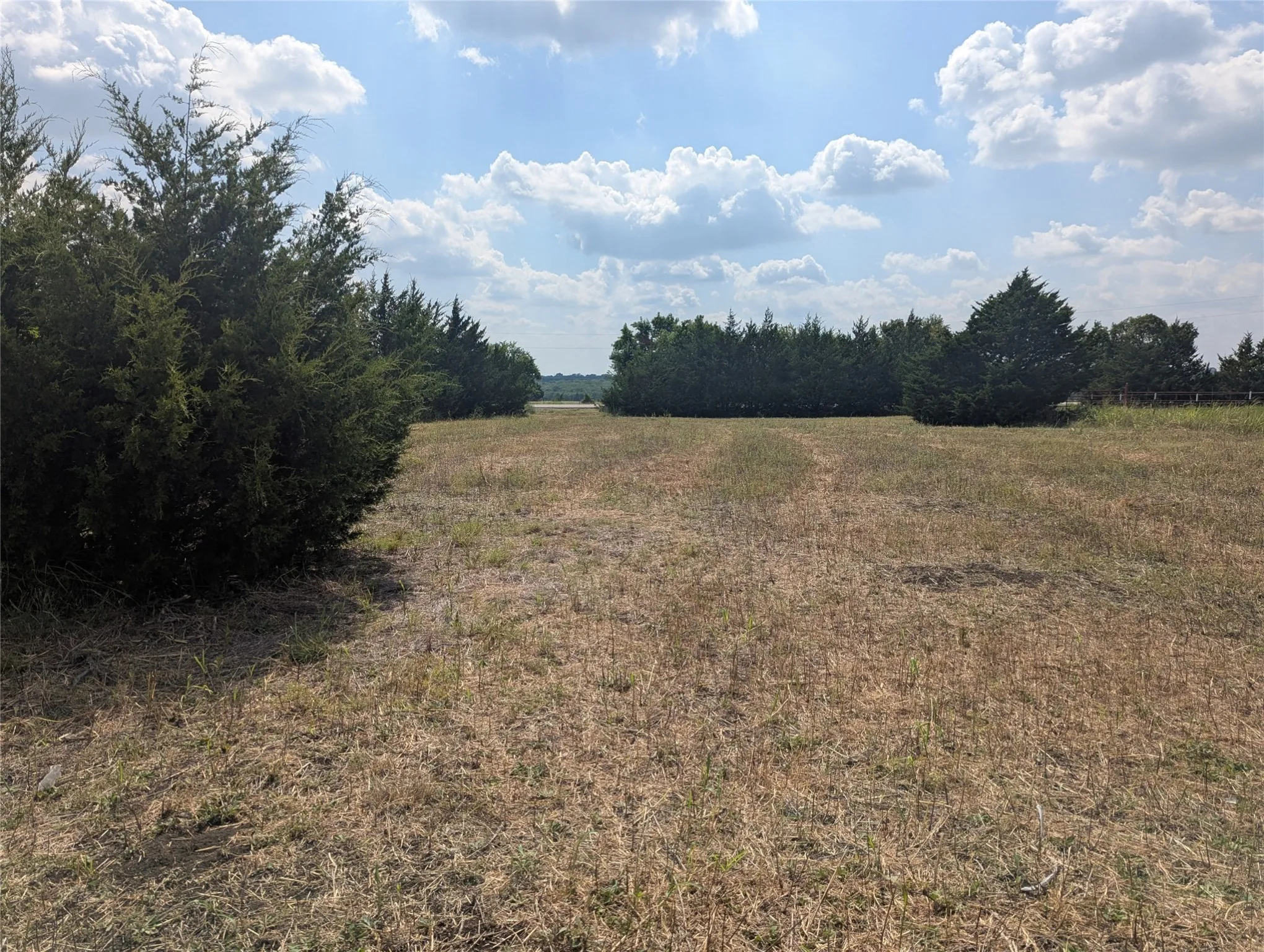 View of nature with rural landscape