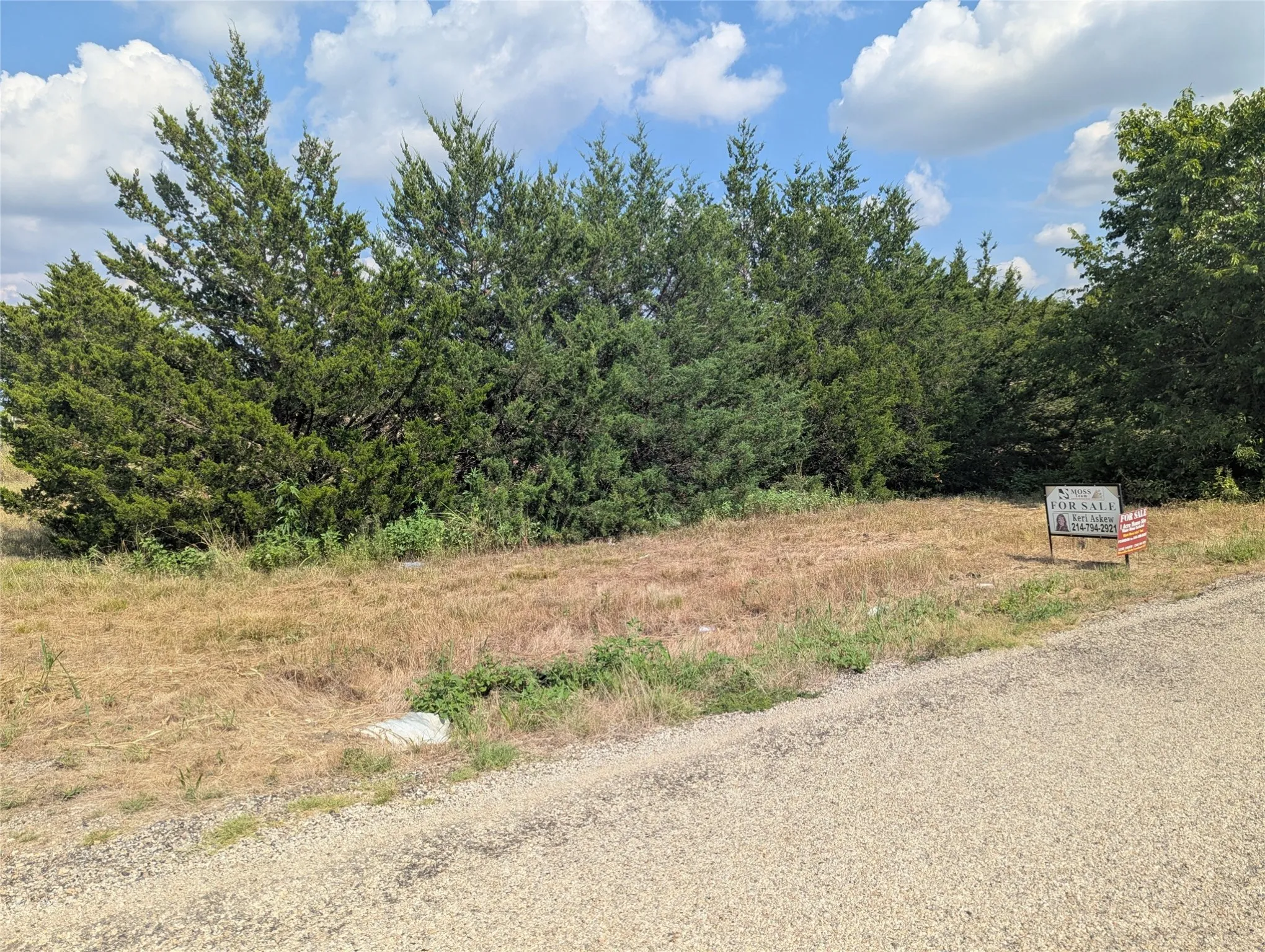 From CR 670, There is more to the property behind this row of trees.