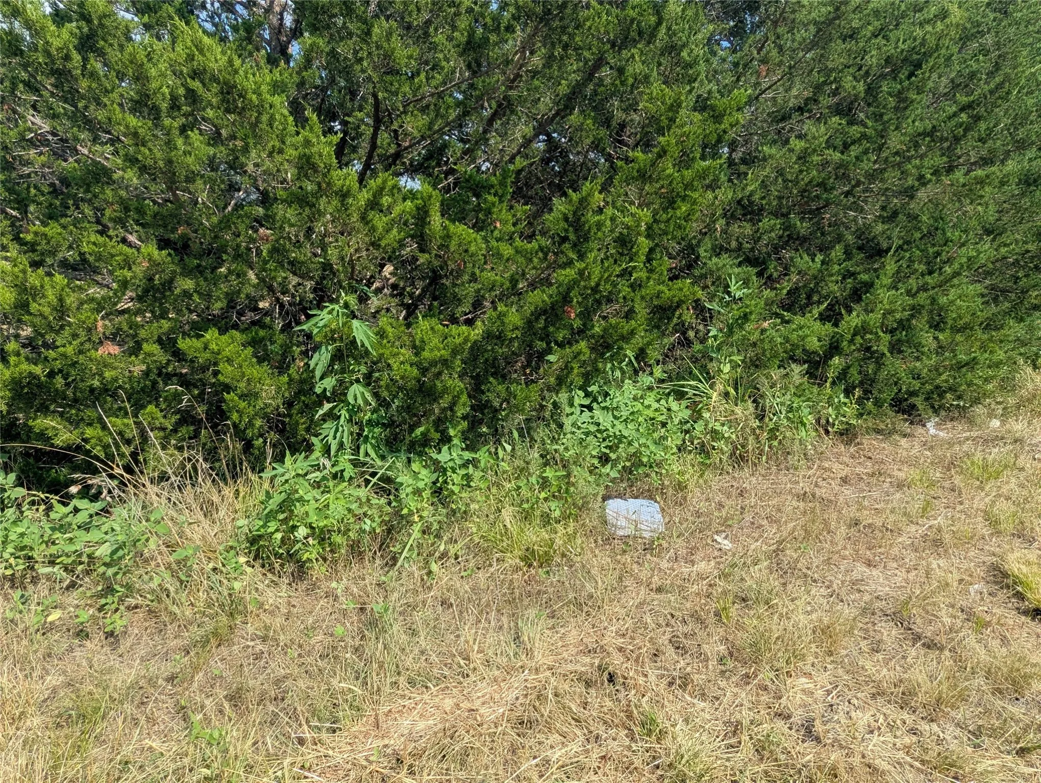 View from northwest corner of property with a Water Meter
