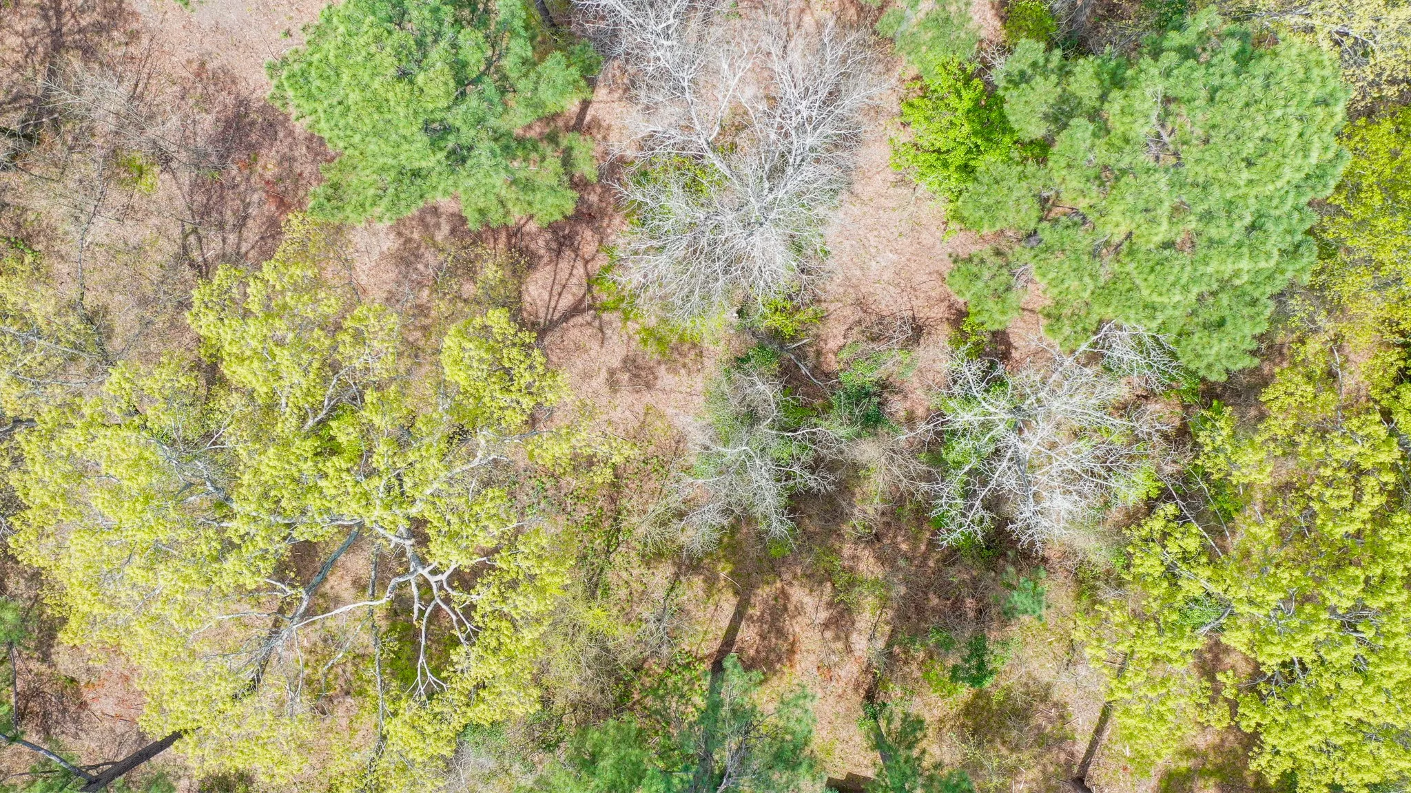 Ranch For Sale in Henderson County , 00 FM 315, Larue, Texas 75770, 0, 0, Garage spaces, 0 Sqft, built in 0, Price $750,000, mls#20914618, Real Estate Agent in Larue, Homes For Sale in Henderson county, Homes For Sale in Larue, Realtor in Larue Texas, Real Estate Brokerage Independent Realty Texas, Luminita Cordes Realtor