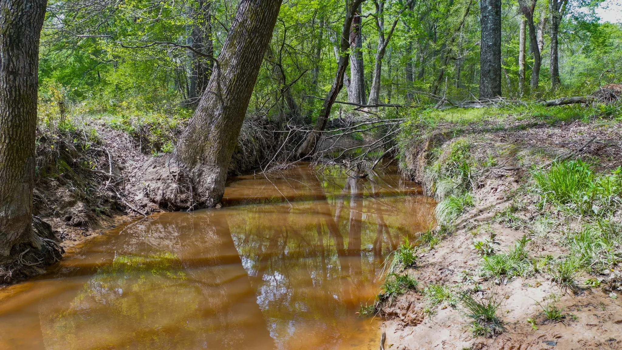 Ranch For Sale in Henderson County , 00 FM 315, Larue, Texas 75770, 0, 0, Garage spaces, 0 Sqft, built in 0, Price $750,000, mls#20914618, Real Estate Agent in Larue, Homes For Sale in Henderson county, Homes For Sale in Larue, Realtor in Larue Texas, Real Estate Brokerage Independent Realty Texas, Luminita Cordes Realtor