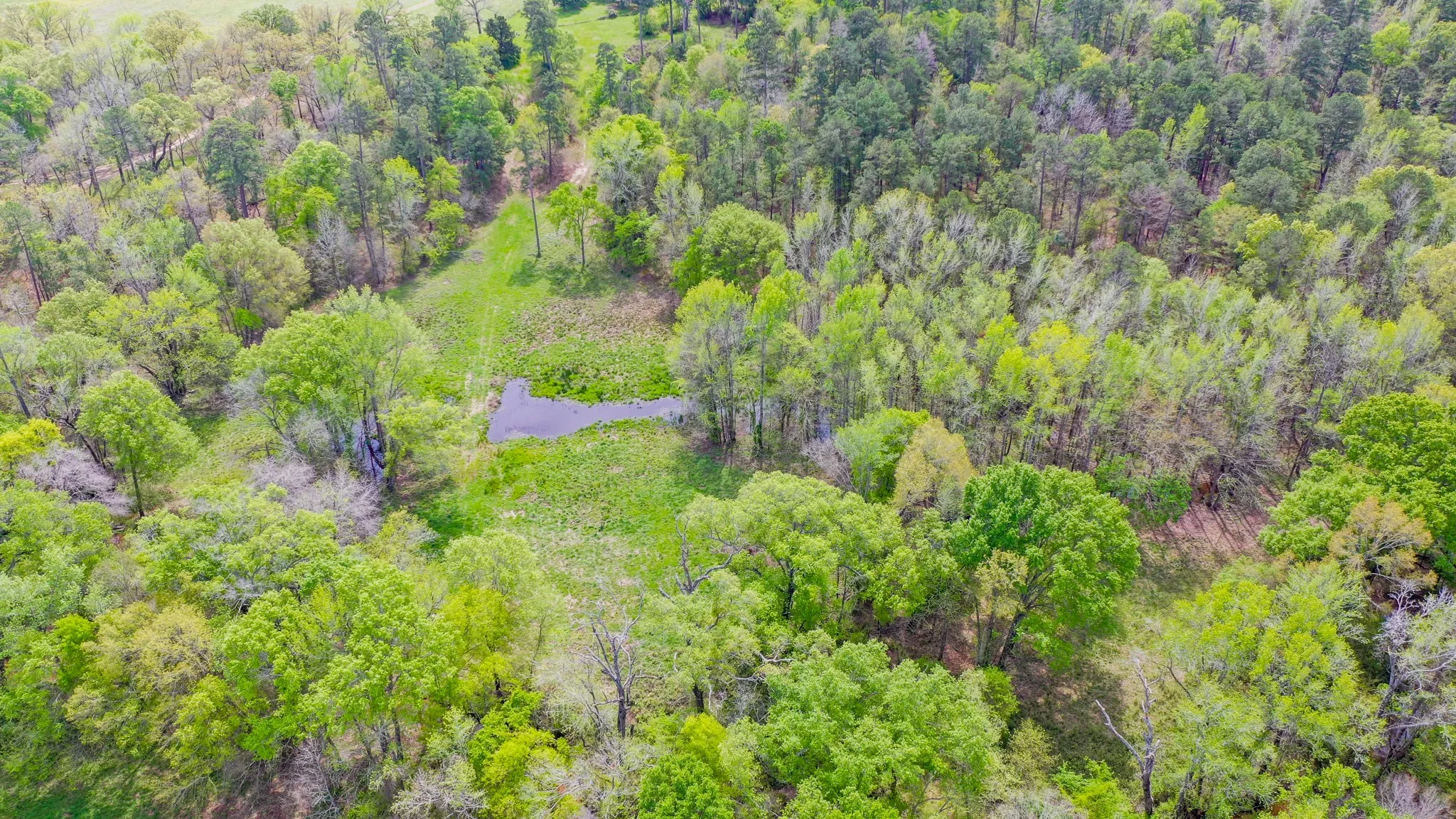 Ranch For Sale in Henderson County , 00 FM 315, Larue, Texas 75770, 0, 0, Garage spaces, 0 Sqft, built in 0, Price $750,000, mls#20914618, Real Estate Agent in Larue, Homes For Sale in Henderson county, Homes For Sale in Larue, Realtor in Larue Texas, Real Estate Brokerage Independent Realty Texas, Luminita Cordes Realtor