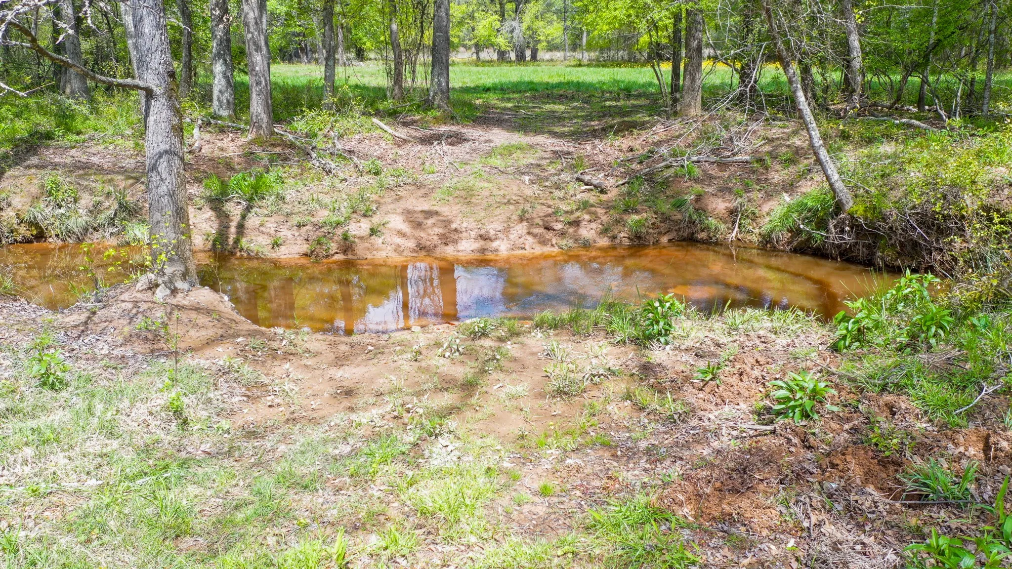 Ranch For Sale in Henderson County , 00 FM 315, Larue, Texas 75770, 0, 0, Garage spaces, 0 Sqft, built in 0, Price $750,000, mls#20914618, Real Estate Agent in Larue, Homes For Sale in Henderson county, Homes For Sale in Larue, Realtor in Larue Texas, Real Estate Brokerage Independent Realty Texas, Luminita Cordes Realtor