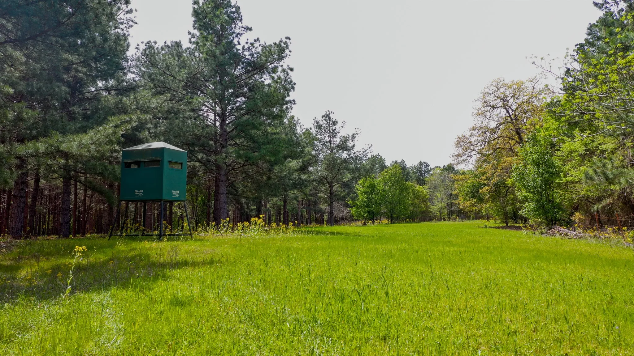 Ranch For Sale in Henderson County , 00 FM 315, Larue, Texas 75770, 0, 0, Garage spaces, 0 Sqft, built in 0, Price $750,000, mls#20914618, Real Estate Agent in Larue, Homes For Sale in Henderson county, Homes For Sale in Larue, Realtor in Larue Texas, Real Estate Brokerage Independent Realty Texas, Luminita Cordes Realtor