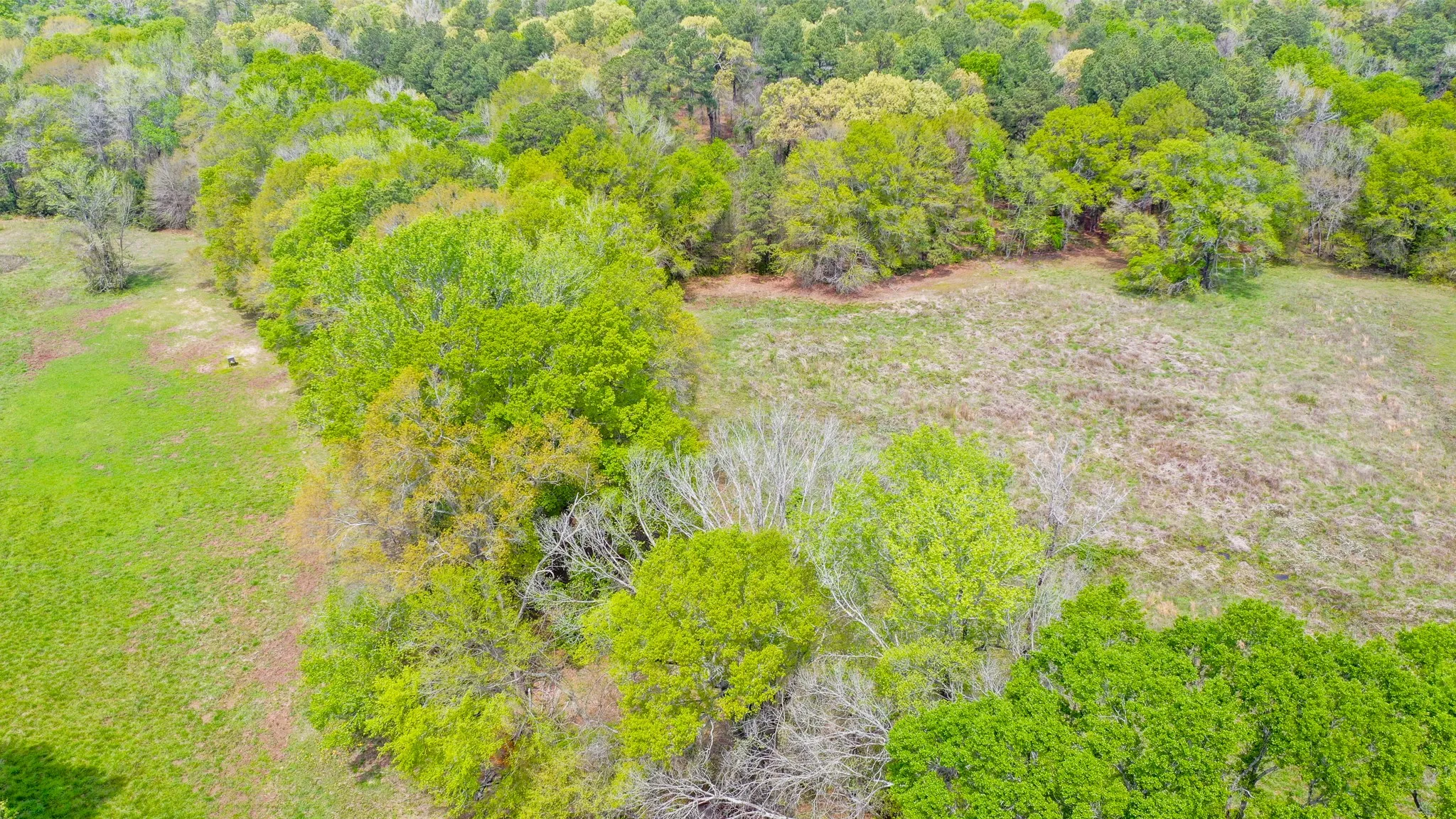 Ranch For Sale in Henderson County , 00 FM 315, Larue, Texas 75770, 0, 0, Garage spaces, 0 Sqft, built in 0, Price $750,000, mls#20914618, Real Estate Agent in Larue, Homes For Sale in Henderson county, Homes For Sale in Larue, Realtor in Larue Texas, Real Estate Brokerage Independent Realty Texas, Luminita Cordes Realtor