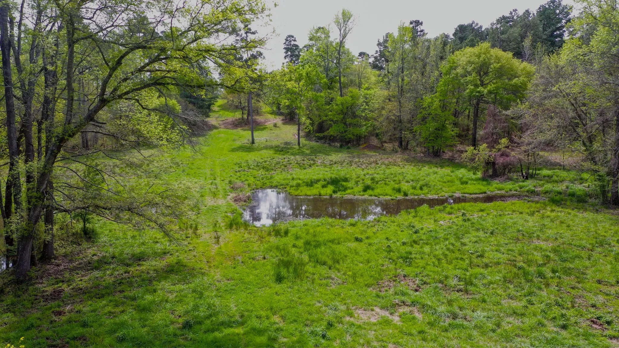 Ranch For Sale in Henderson County , 00 FM 315, Larue, Texas 75770, 0, 0, Garage spaces, 0 Sqft, built in 0, Price $750,000, mls#20914618, Real Estate Agent in Larue, Homes For Sale in Henderson county, Homes For Sale in Larue, Realtor in Larue Texas, Real Estate Brokerage Independent Realty Texas, Luminita Cordes Realtor
