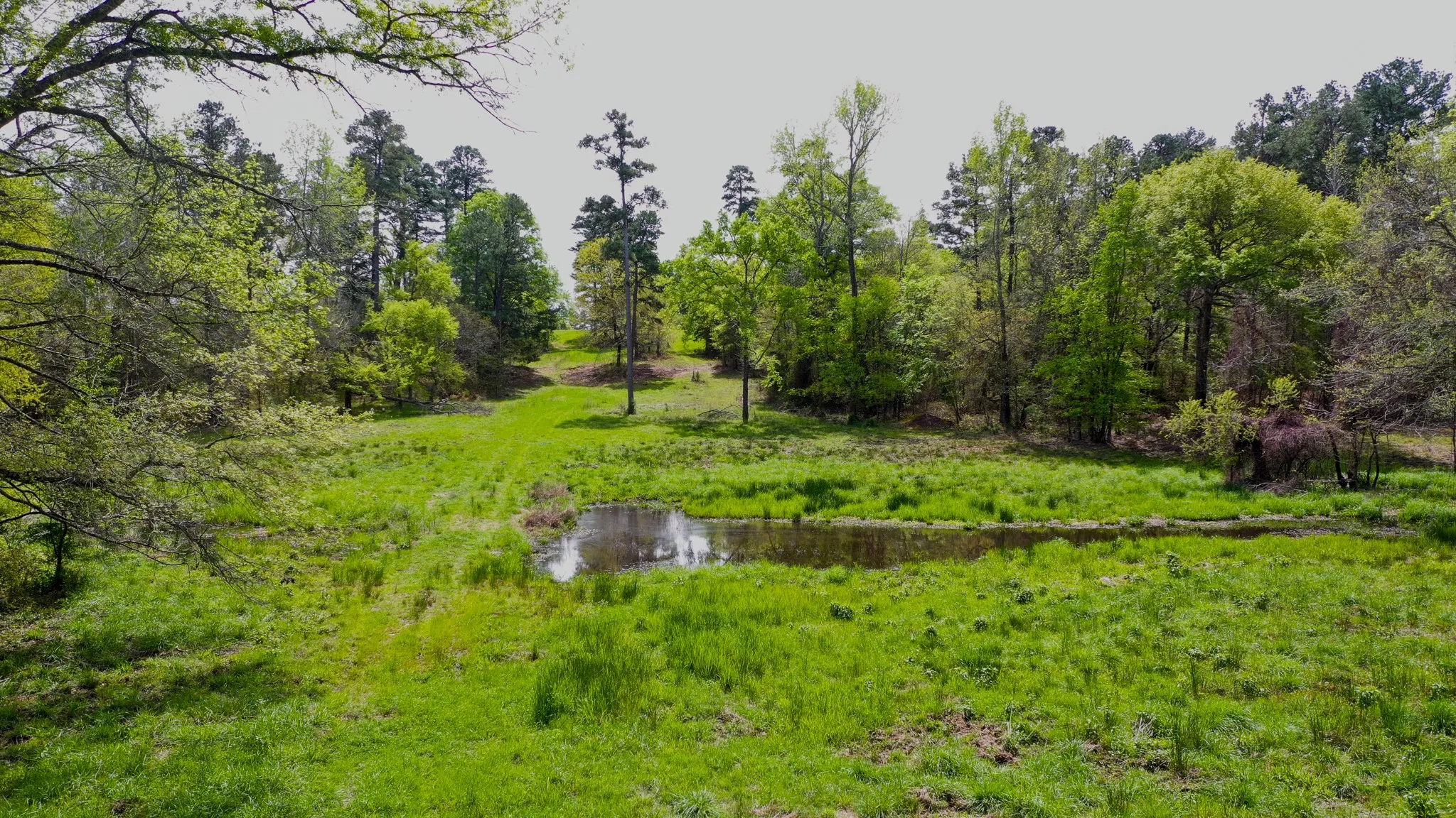Ranch For Sale in Henderson County , 00 FM 315, Larue, Texas 75770, 0, 0, Garage spaces, 0 Sqft, built in 0, Price $750,000, mls#20914618, Real Estate Agent in Larue, Homes For Sale in Henderson county, Homes For Sale in Larue, Realtor in Larue Texas, Real Estate Brokerage Independent Realty Texas, Luminita Cordes Realtor
