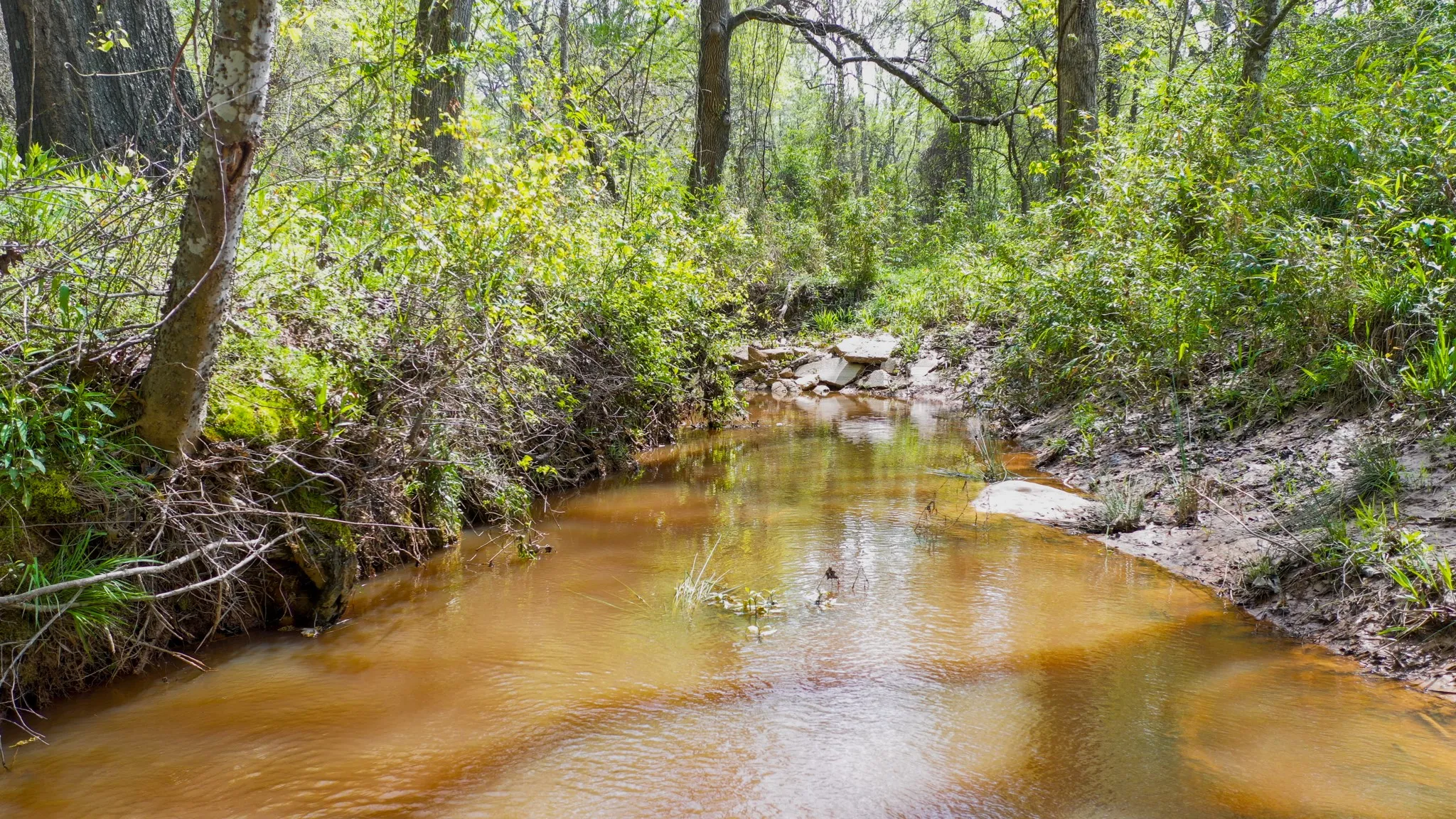 Ranch For Sale in Henderson County , 00 FM 315, Larue, Texas 75770, 0, 0, Garage spaces, 0 Sqft, built in 0, Price $750,000, mls#20914618, Real Estate Agent in Larue, Homes For Sale in Henderson county, Homes For Sale in Larue, Realtor in Larue Texas, Real Estate Brokerage Independent Realty Texas, Luminita Cordes Realtor