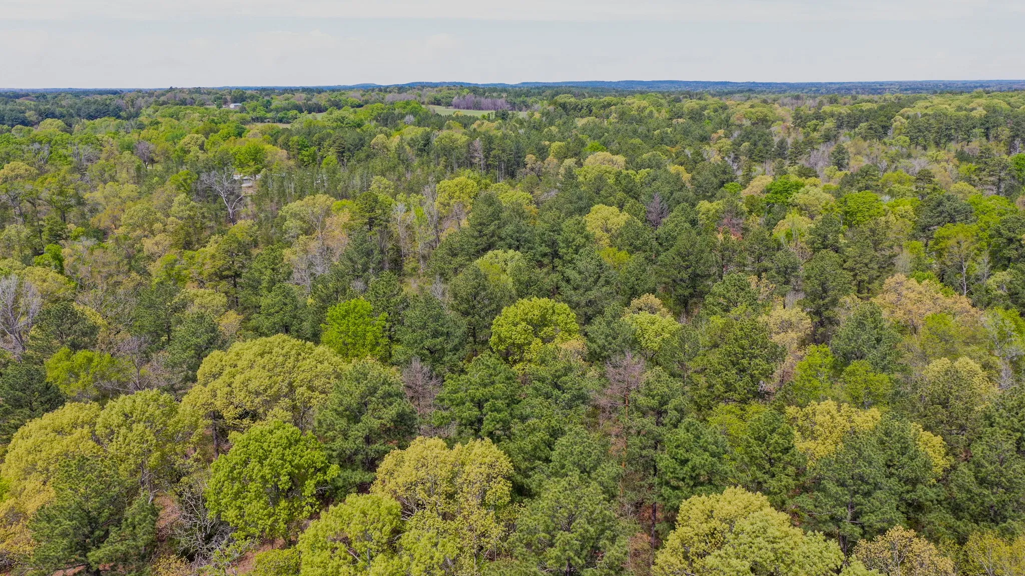 Ranch For Sale in Henderson County , 00 FM 315, Larue, Texas 75770, 0, 0, Garage spaces, 0 Sqft, built in 0, Price $750,000, mls#20914618, Real Estate Agent in Larue, Homes For Sale in Henderson county, Homes For Sale in Larue, Realtor in Larue Texas, Real Estate Brokerage Independent Realty Texas, Luminita Cordes Realtor