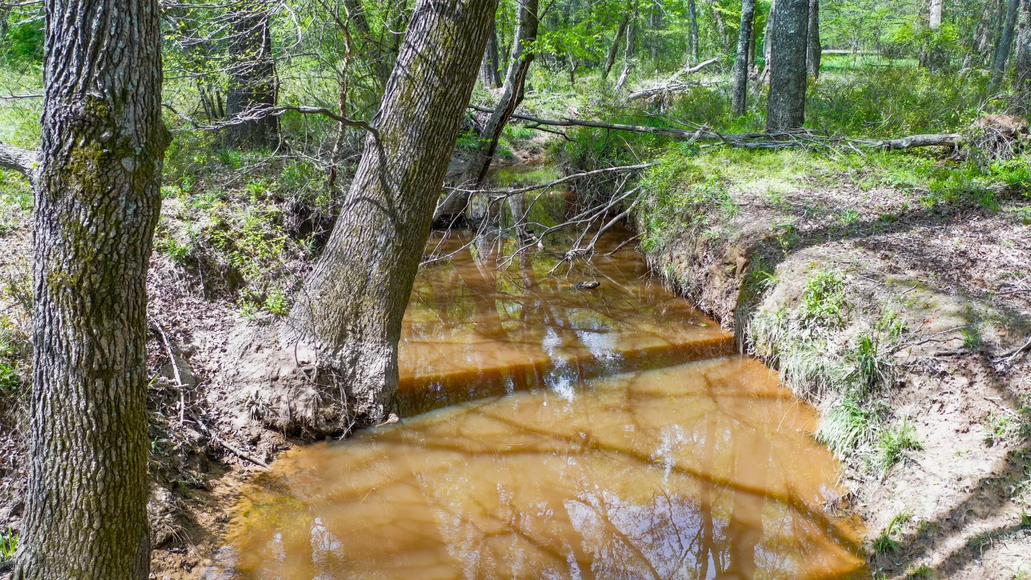 Ranch For Sale in Henderson County , 00 FM 315, Larue, Texas 75770, 0, 0, Garage spaces, 0 Sqft, built in 0, Price $750,000, mls#20914618, Real Estate Agent in Larue, Homes For Sale in Henderson county, Homes For Sale in Larue, Realtor in Larue Texas, Real Estate Brokerage Independent Realty Texas, Luminita Cordes Realtor