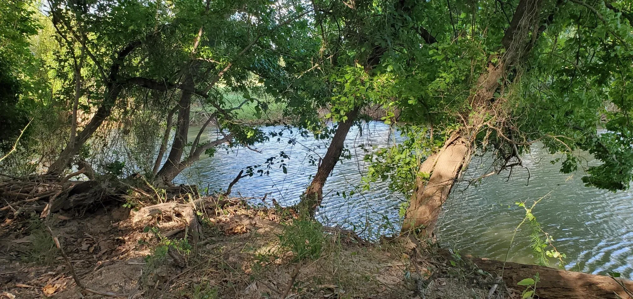 Water view