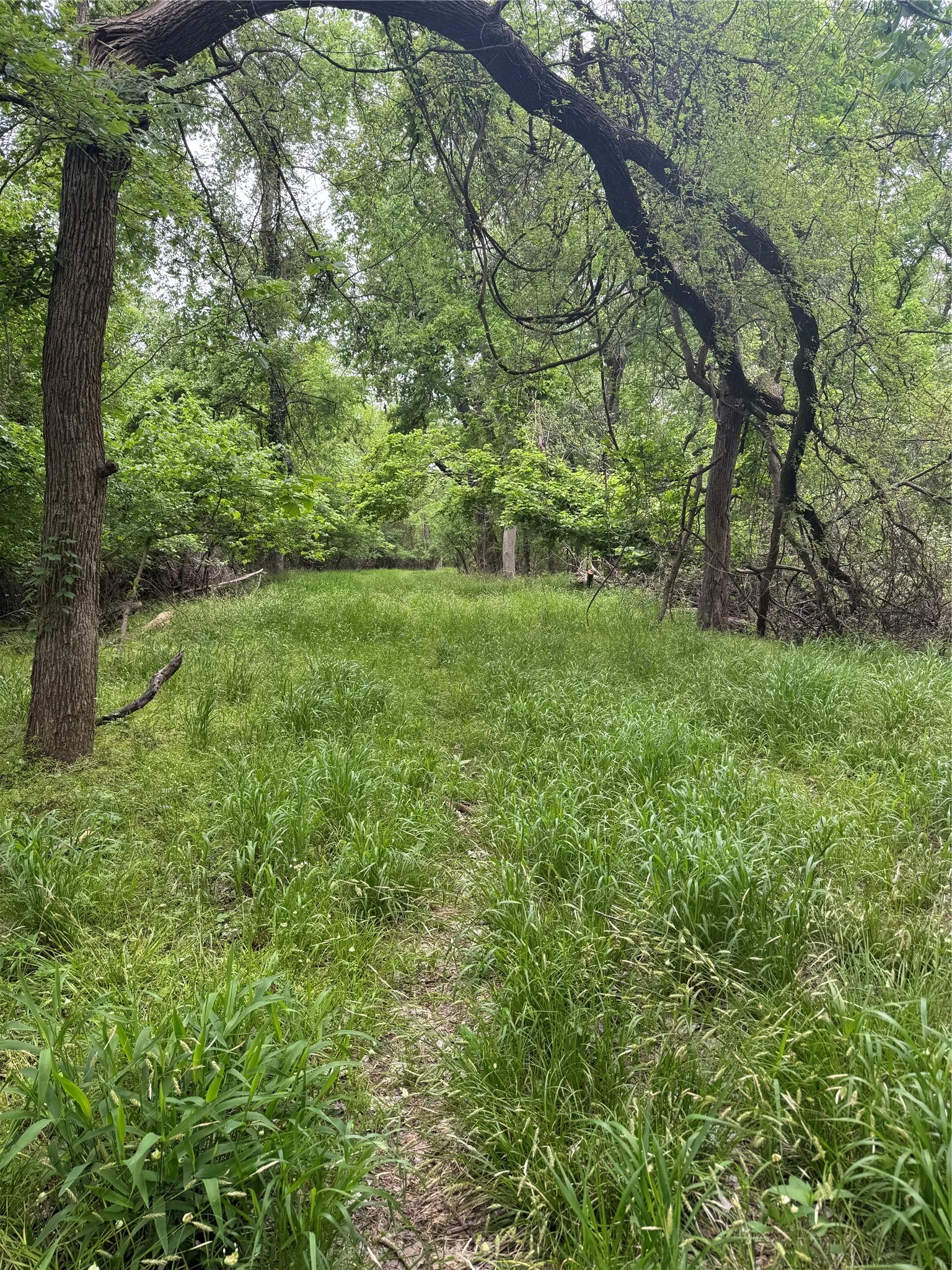 Path to property