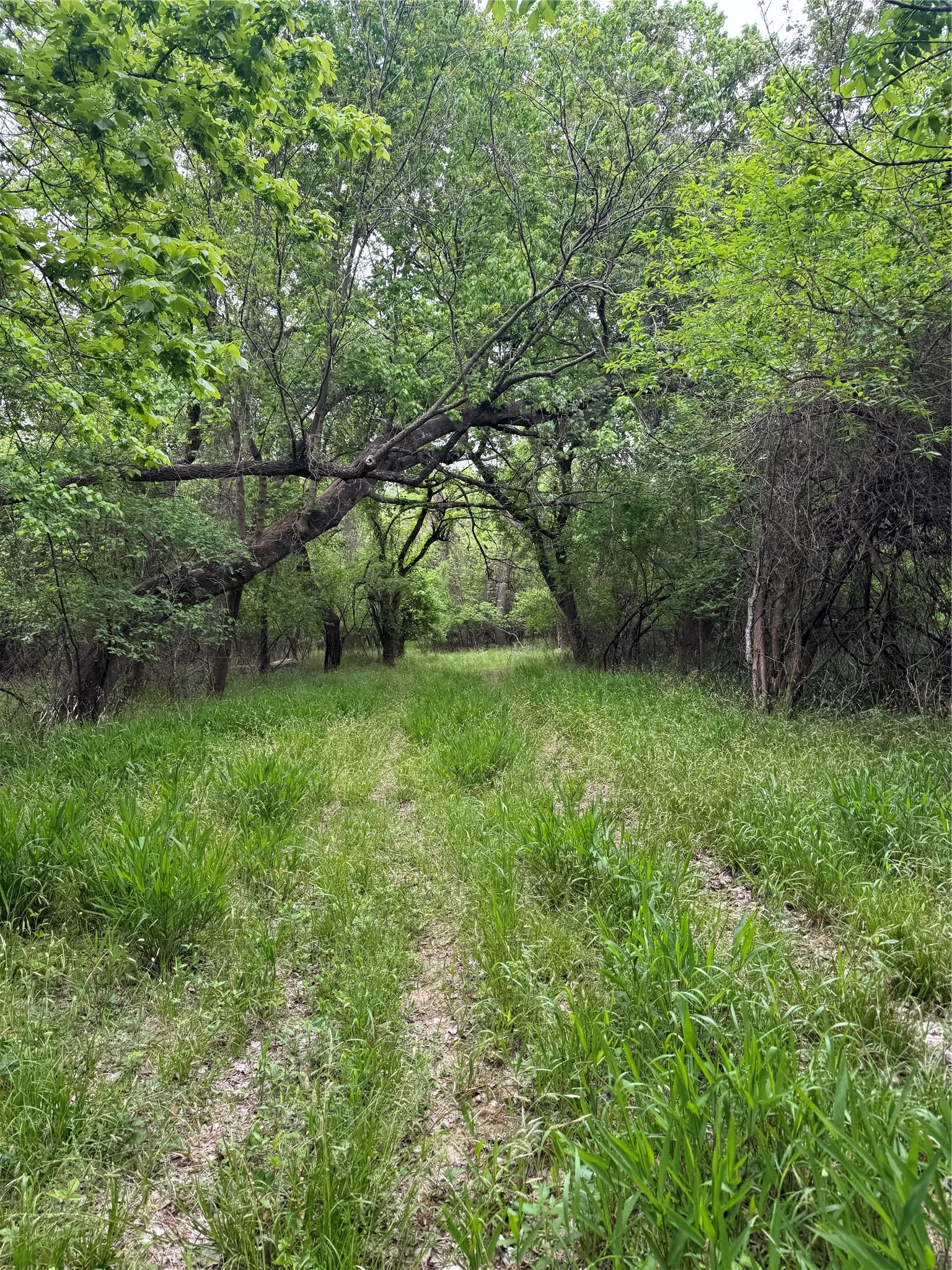 Path to property