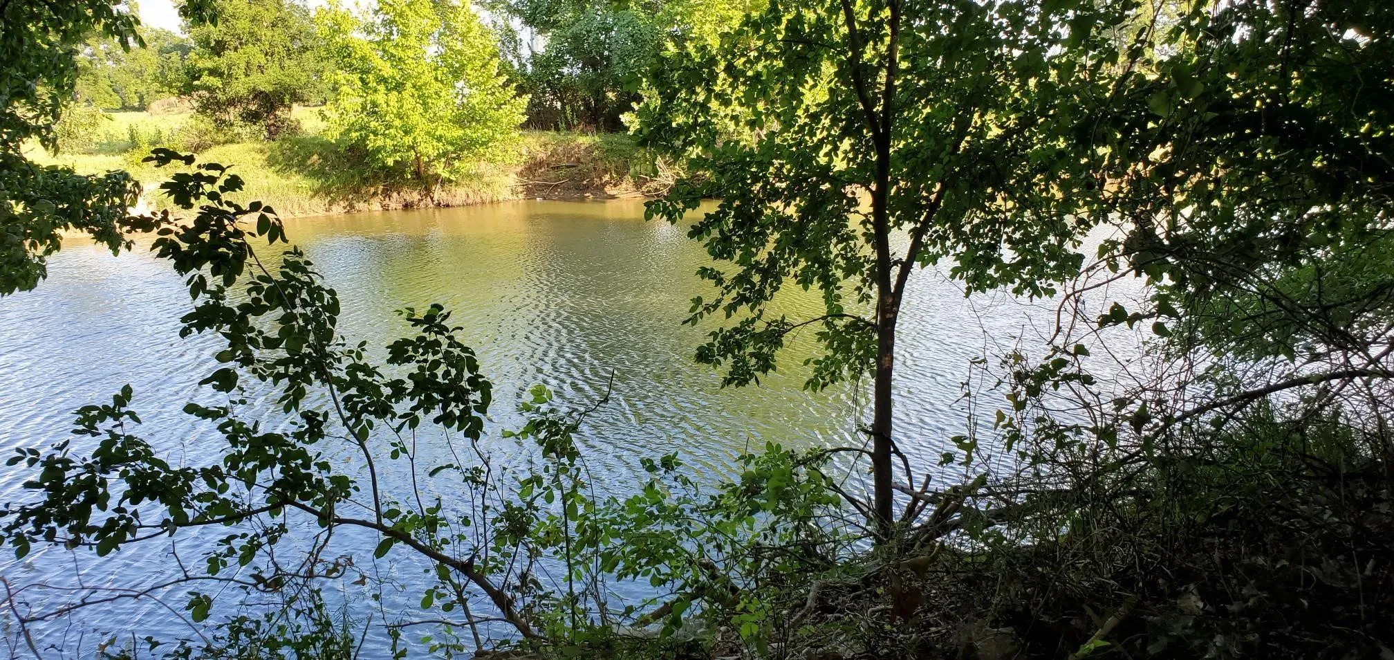 Unimproved Land For Sale in Wise County , 000 County Road 4757, Boyd, Texas 76023, 0, 0, Garage spaces, 0 Sqft, built in 0, mls#20914107, Real Estate Agent in Boyd, Homes For Sale in Wise county, Homes For Sale in Boyd, Realtor in Boyd Texas, Real Estate Brokerage Independent Realty Texas, Luminita Cordes Realtor