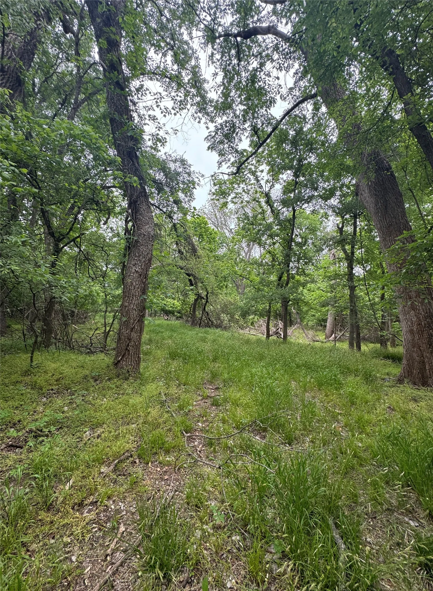 Path to property