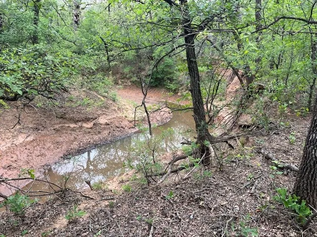 Ranch For Sale in Young County , W. 23 Hoffman Road, Loving, Texas 76460, 0, 0, Garage spaces, 0 Sqft, built in 0, Price $189,500, mls#20916455, Real Estate Agent in Loving, Homes For Sale in Young county, Homes For Sale in Loving, Realtor in Loving Texas, Real Estate Brokerage Independent Realty Texas, Luminita Cordes Realtor