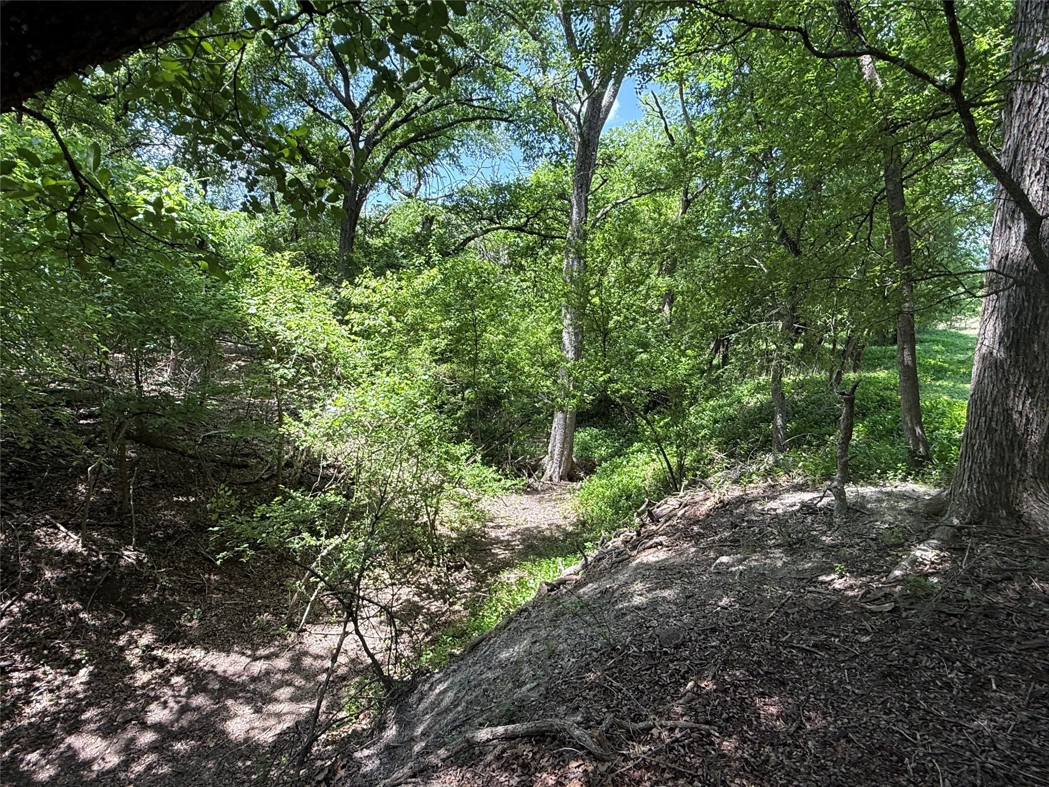creek