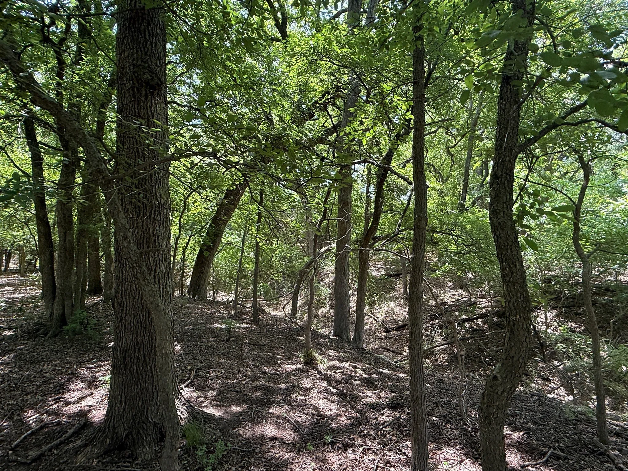 Farm For Sale in Hamilton County , 998 Hwy 22 E, Hamilton, Texas 76531, 3 Bedroom, 4 Bathroom, 2 Garage spaces, 3,962 Sqft, built in 1971, Preowned, mls#20917143, Real Estate Agent in Hamilton, Homes For Sale in Hamilton county, Homes For Sale in Hamilton, Realtor in Hamilton Texas, Real Estate Brokerage Independent Realty Texas, Luminita Cordes Realtor